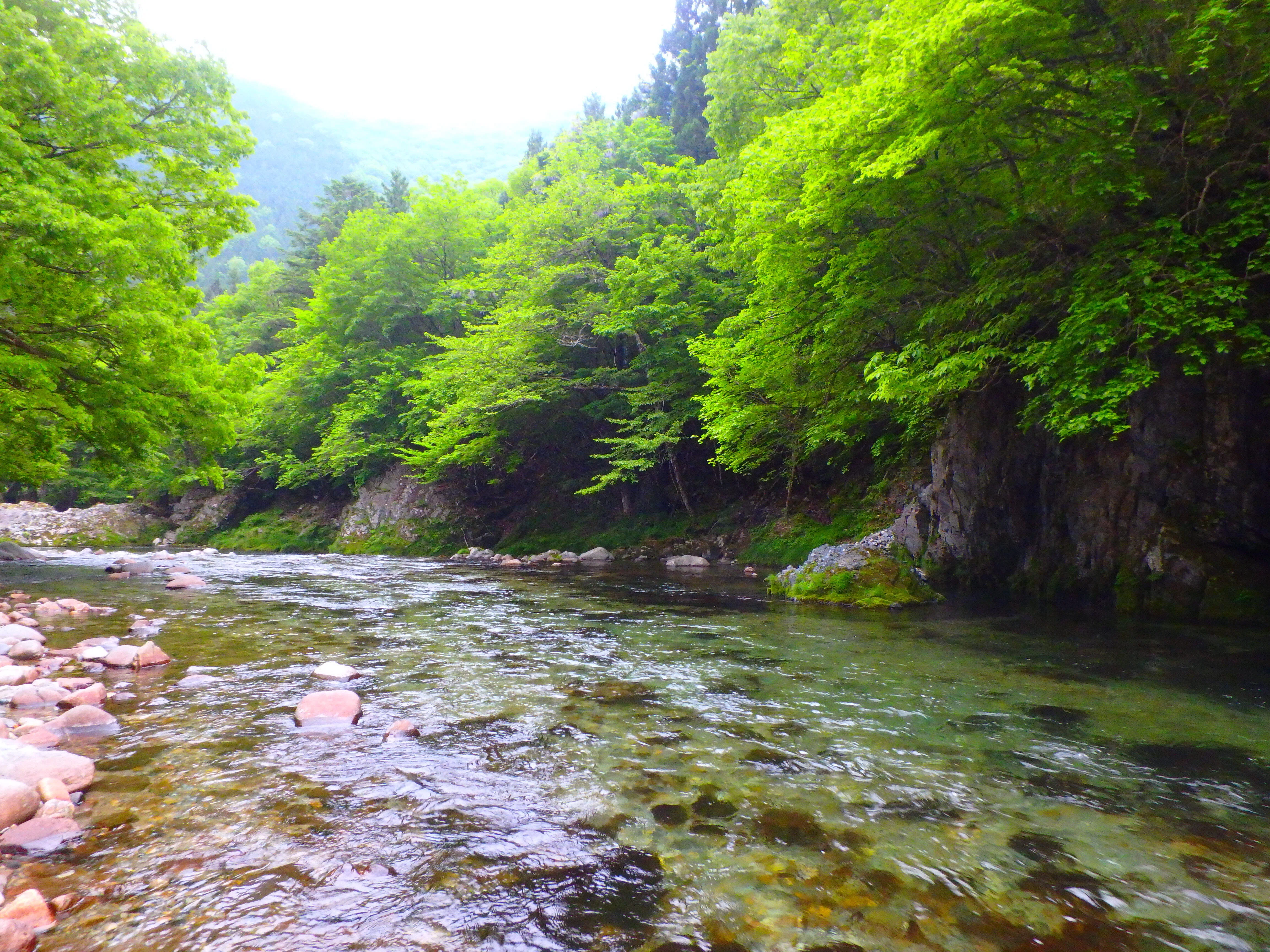 皐月5月 馬瀬川上流渓流釣行｜SW工房