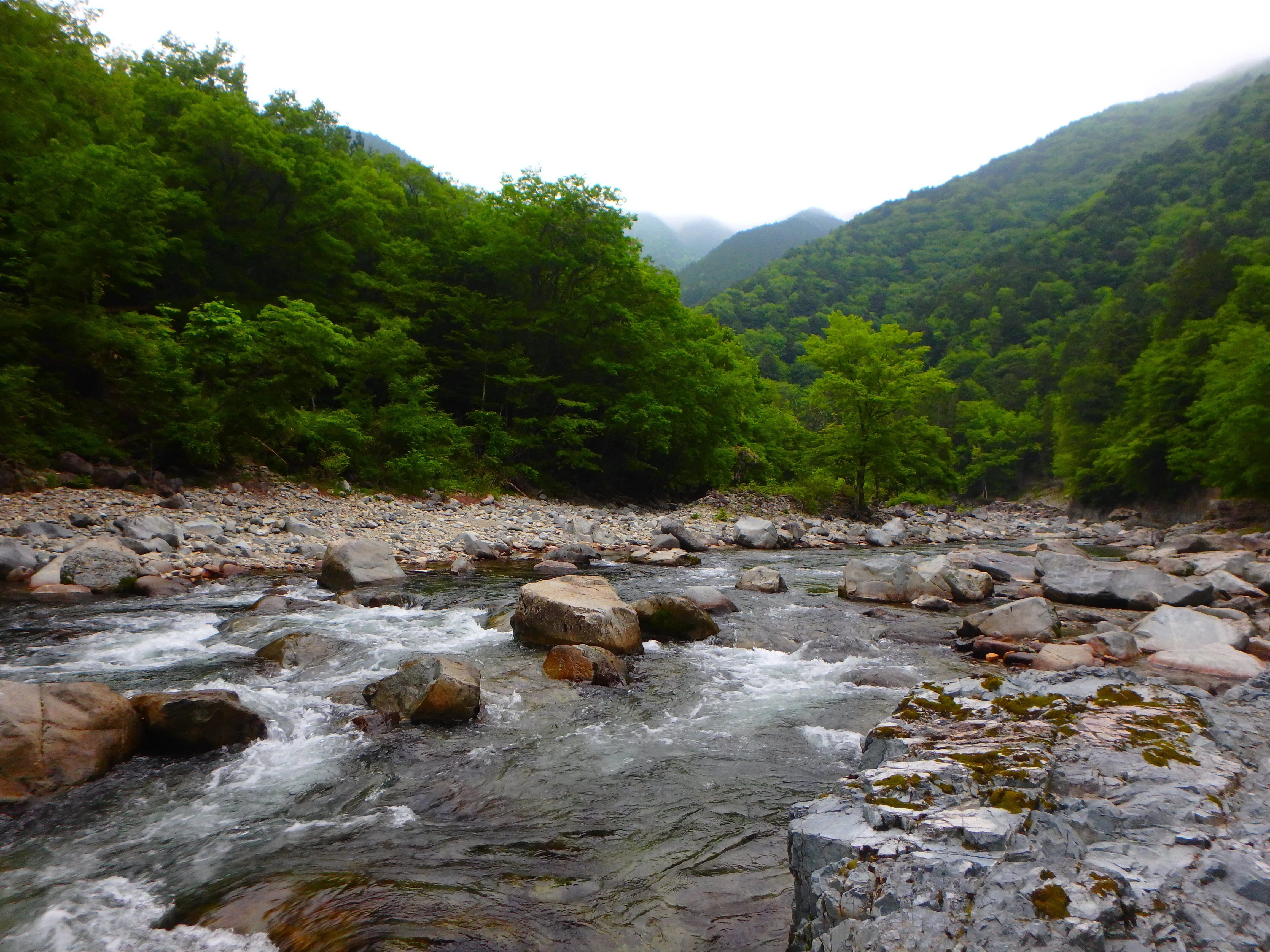 皐月5月 馬瀬川上流渓流釣行｜SW工房