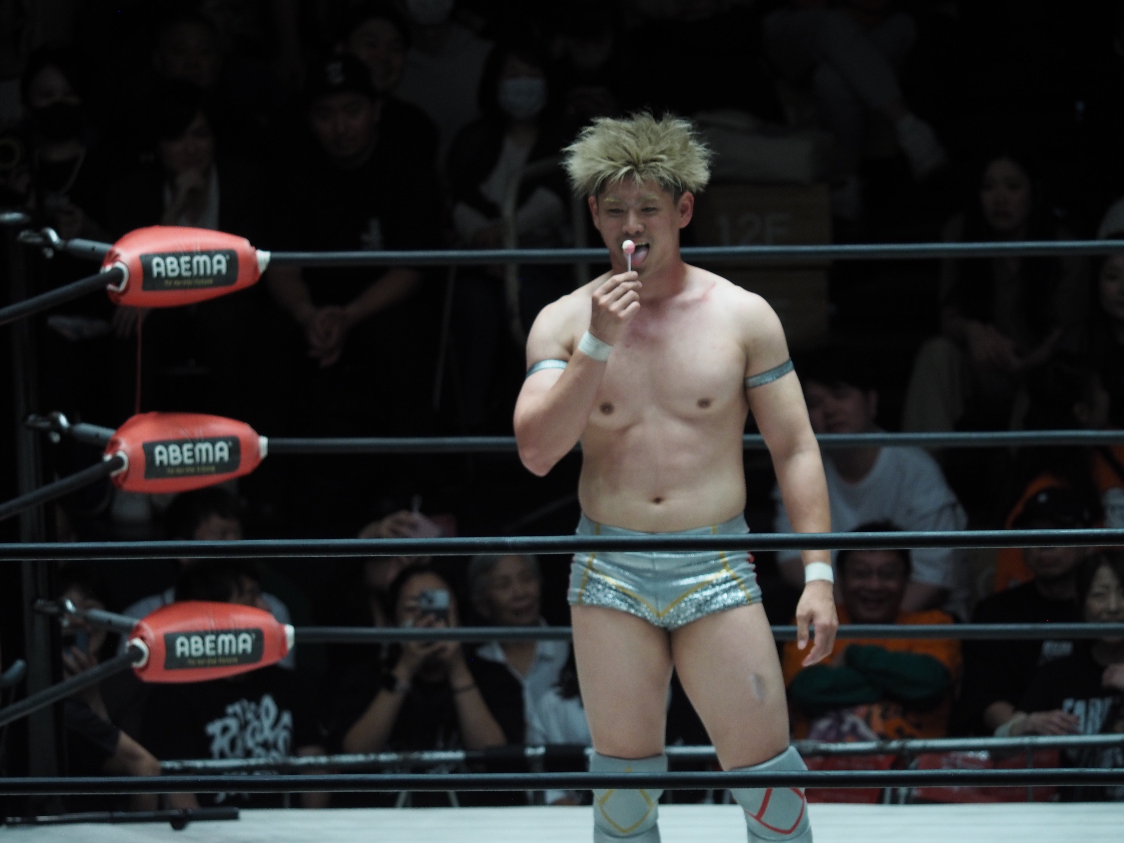 WWE マテル　エリート　清宮海斗　カスタムフィギュア WWE マテル エリート 清宮海斗 カスタムフィギュア WWE マテル