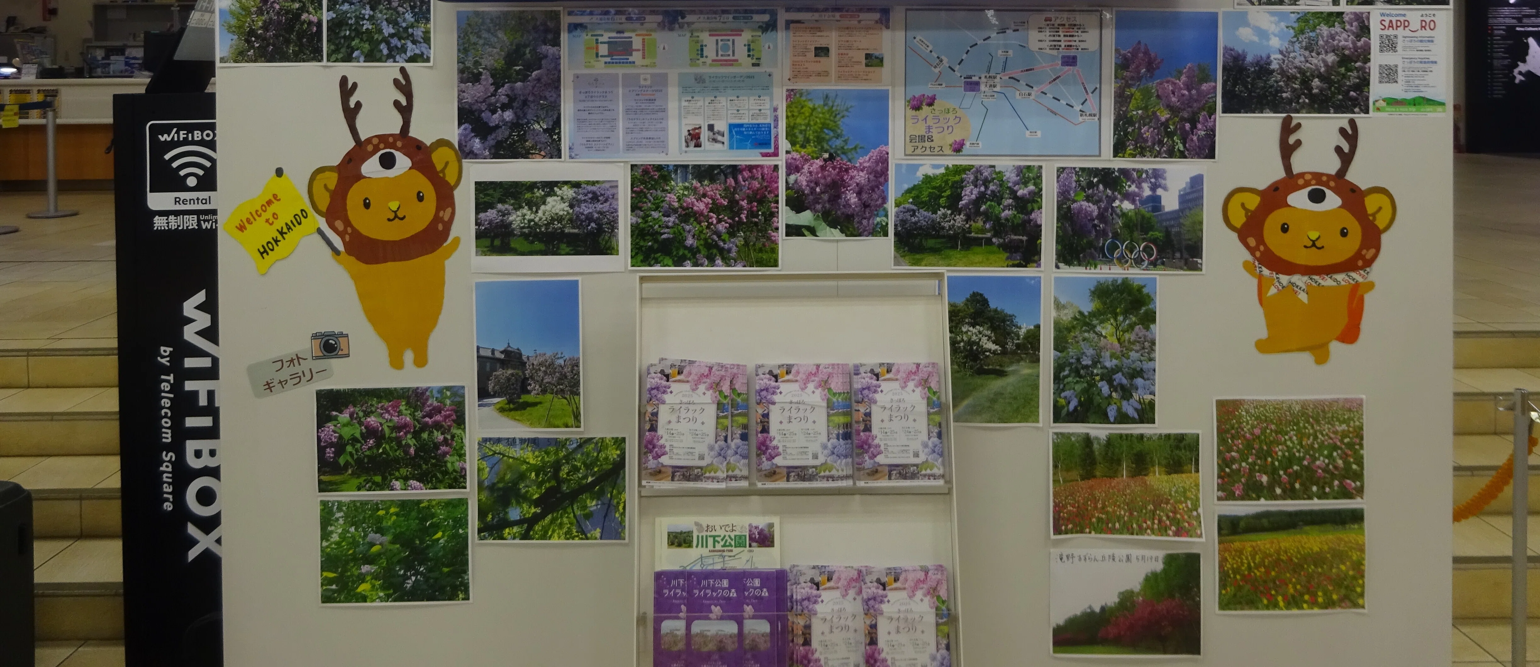 It is the final day of the Sapporo Lilac Festival! (May 25, 2025