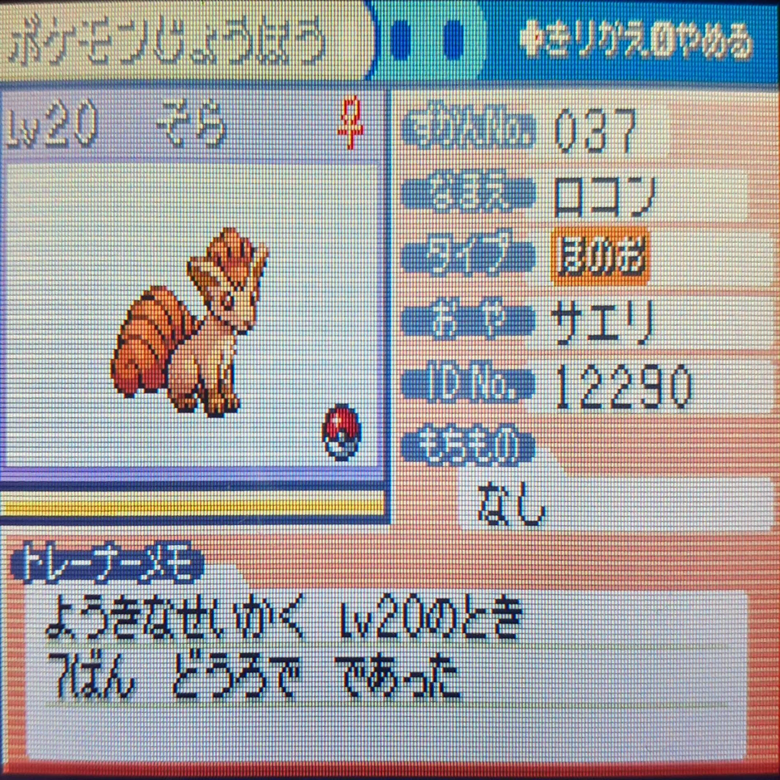 リーフ グリーン ロコン