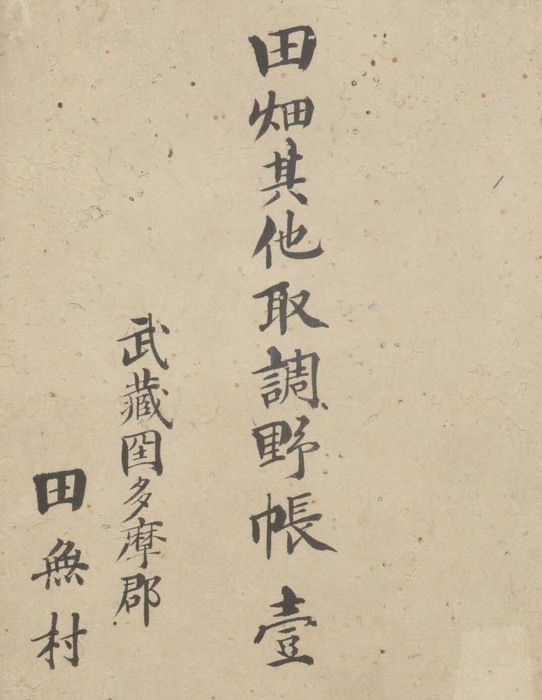 明治7年 田畑反別人名取調帳 丹波國桑田郡川谷村 古文書 第1章 『田畑其他取調野帳』作成の背景と概要｜田無村半兵衛