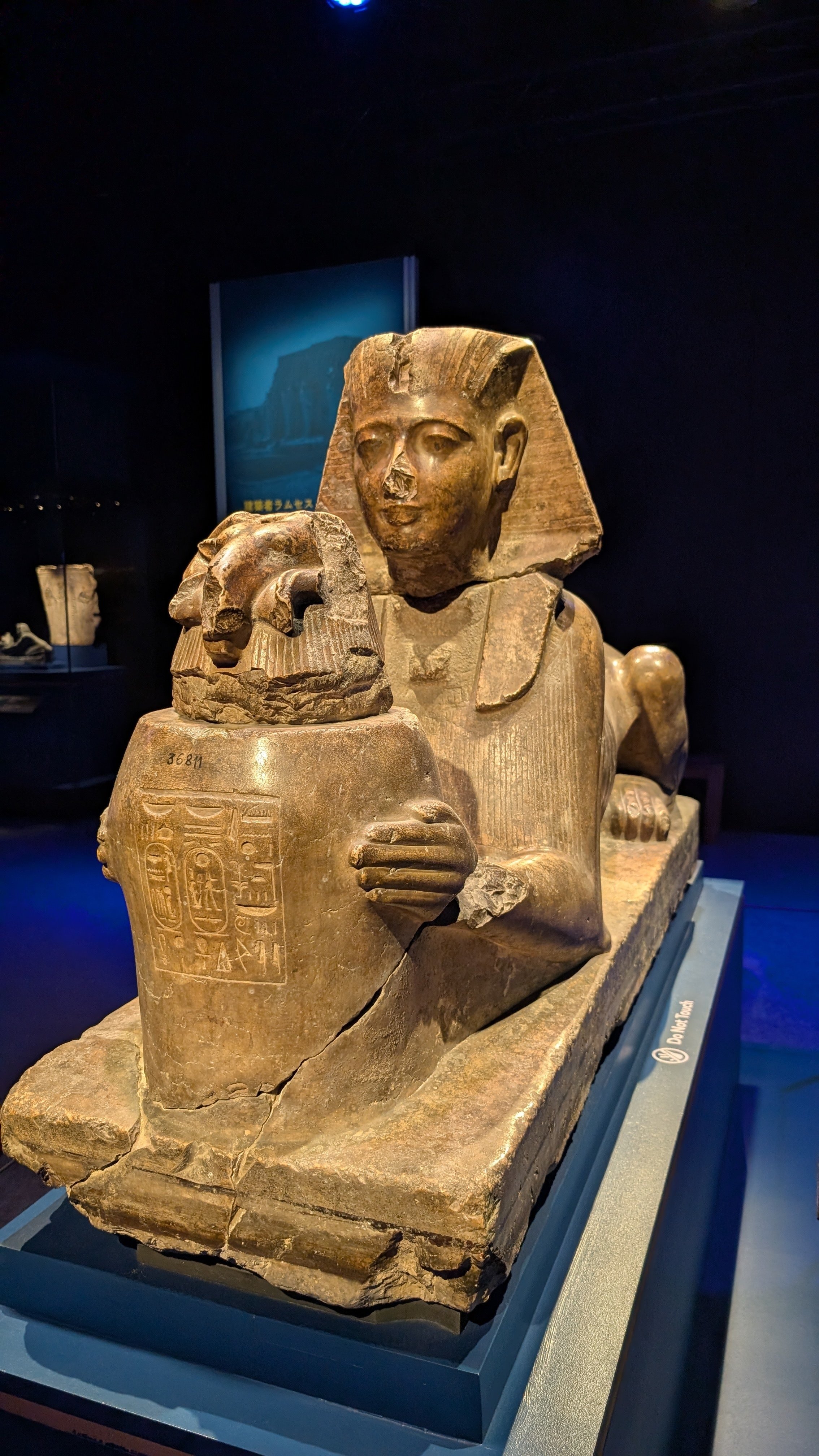 大王降臨！ラムセス2世、遂に日本上陸！｜eye