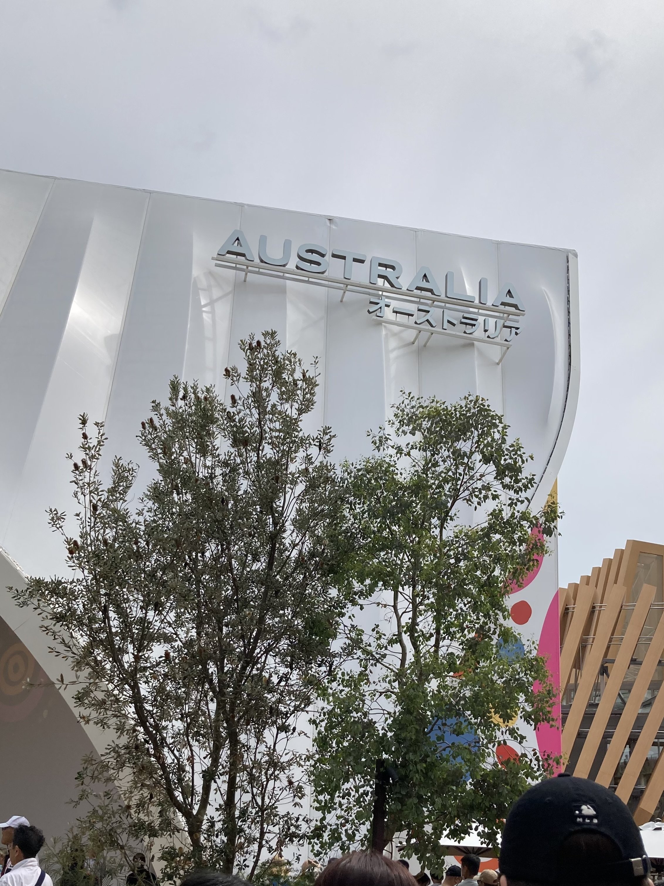シニア主婦が行く！万博オーストラリア館レポート｜自然×文化×グルメ