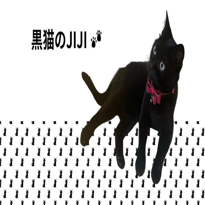 黒猫ジジちゃん｜川野えつこ:小郡市議会議員