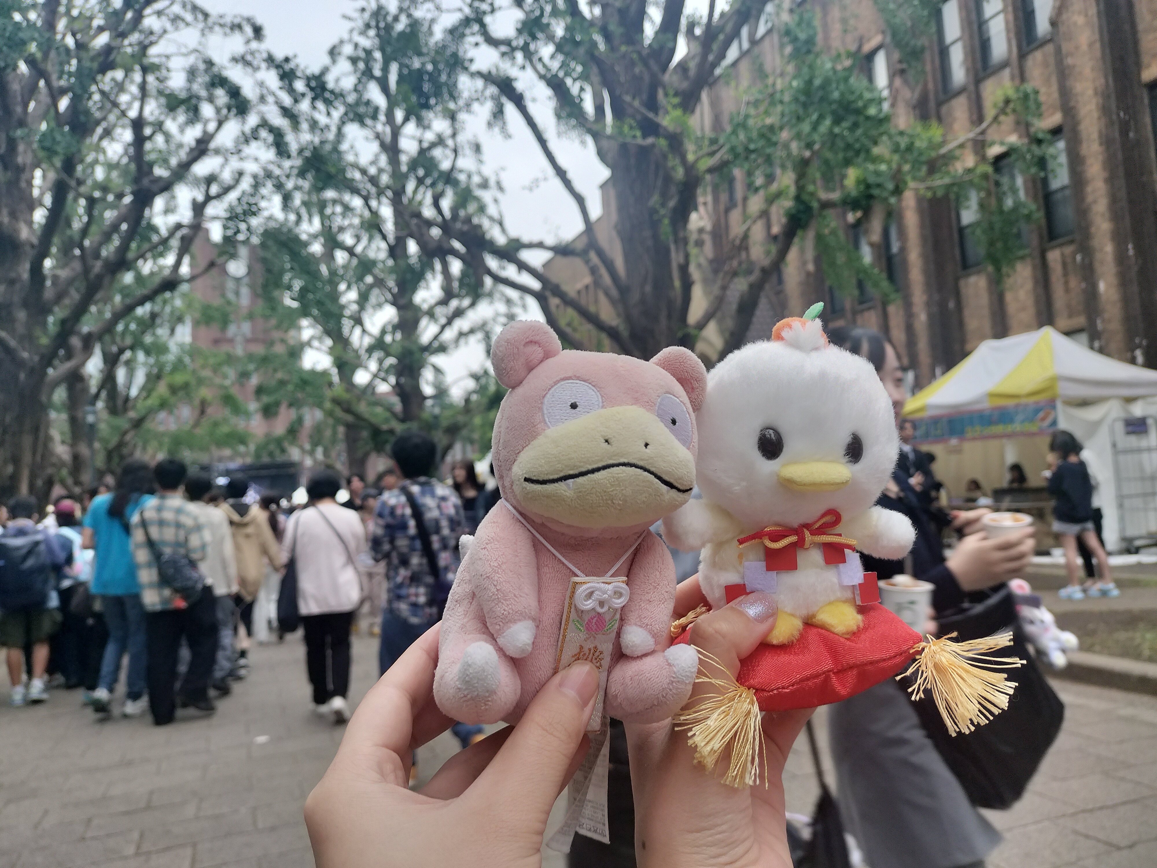 ロングポテト、巡れ、愛（2025/05/26ゑ日記）｜ゑぬたき