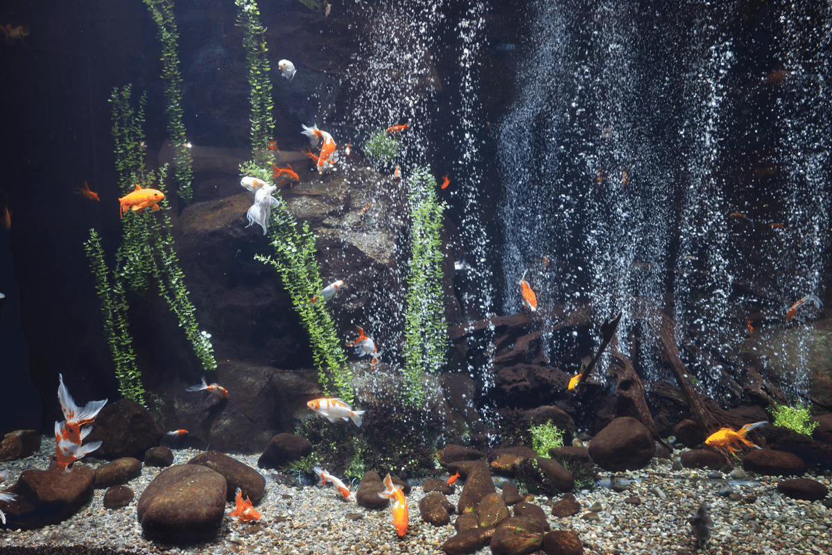 金魚鉢 セラミック水槽 リビングルーム 中庭 水槽 亀 生態学的なタンク 家庭用 床置き フラワーポット 水槽 (色 : B、サイズ 金魚鉢 セラミック水槽 リビングルーム 中庭 水槽 亀 生態学的なタンク 家庭用 床置き フラワーポット 水槽 (色 : B、サイズ GrnArt 水槽  金魚鉢 水陸両用 スマート エコアクアリウム 金魚 爬虫類 亀水槽 すいりゅう セルフクリーニング DIY