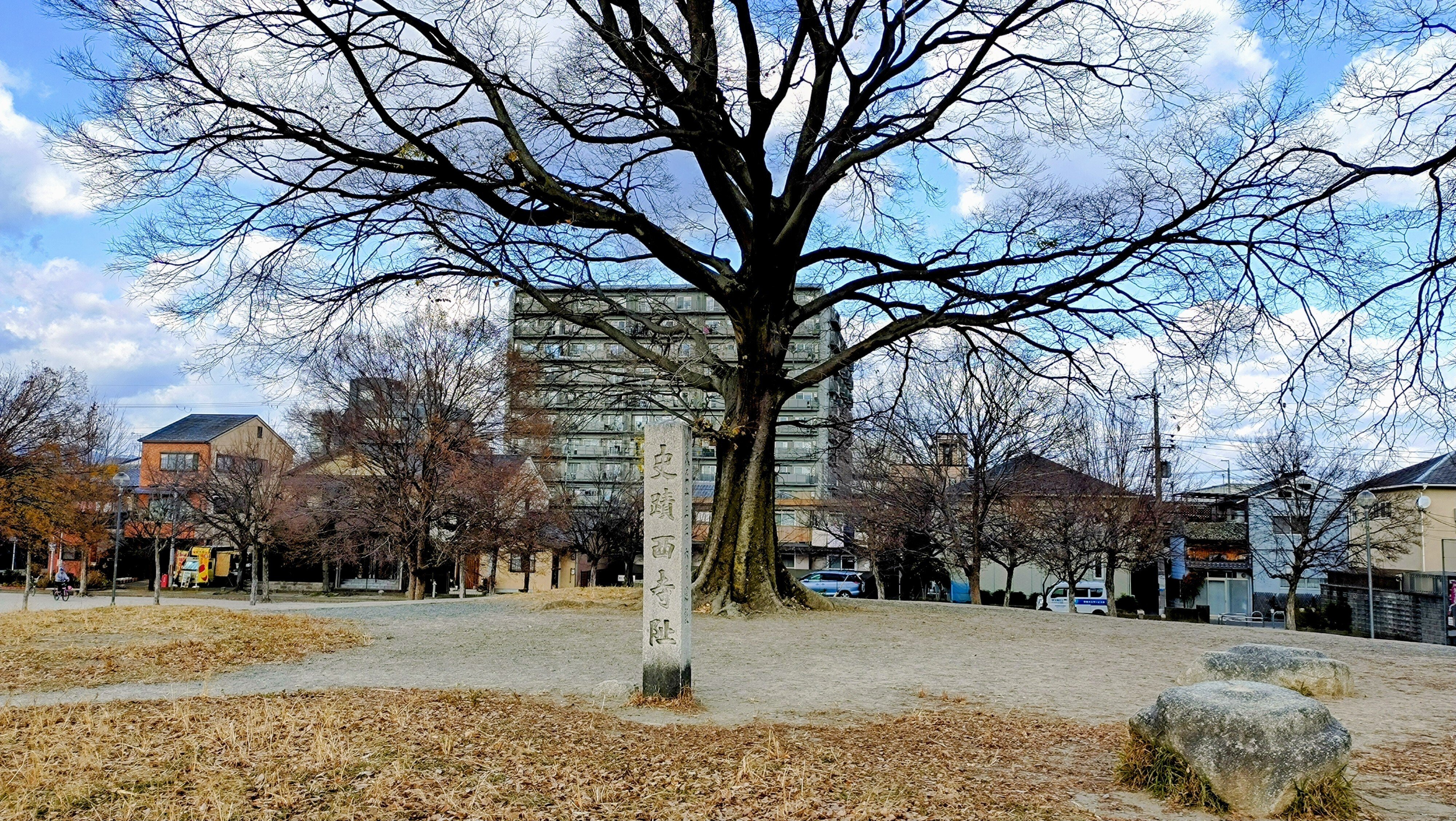 歴史学者・林屋辰三郎が東寺で思い描いた平安京再現の夢｜偉人たちの見