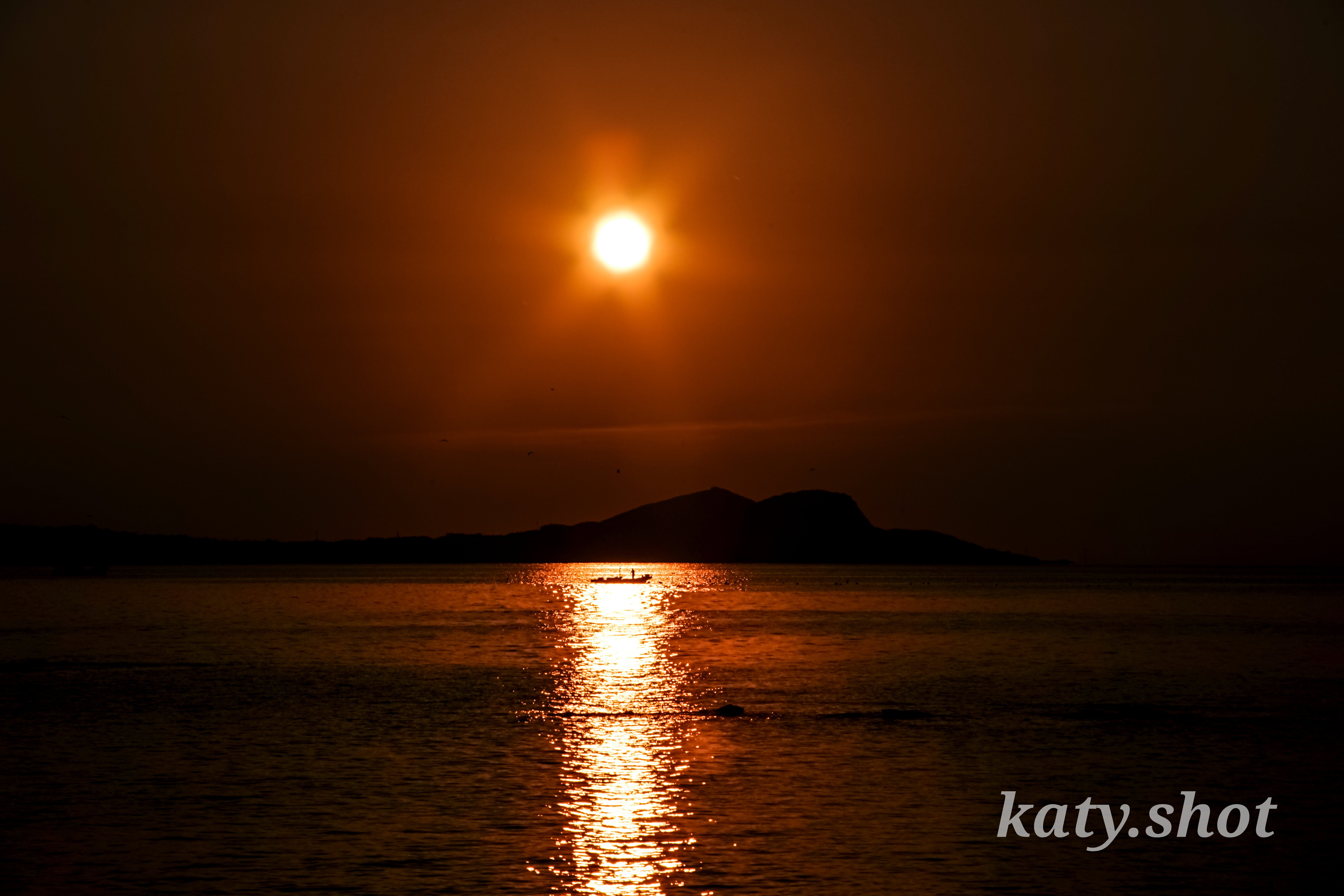 高コントラストで色も鮮やか】Tokina AT-X 24-200mm F3.5-5.6をレビュ