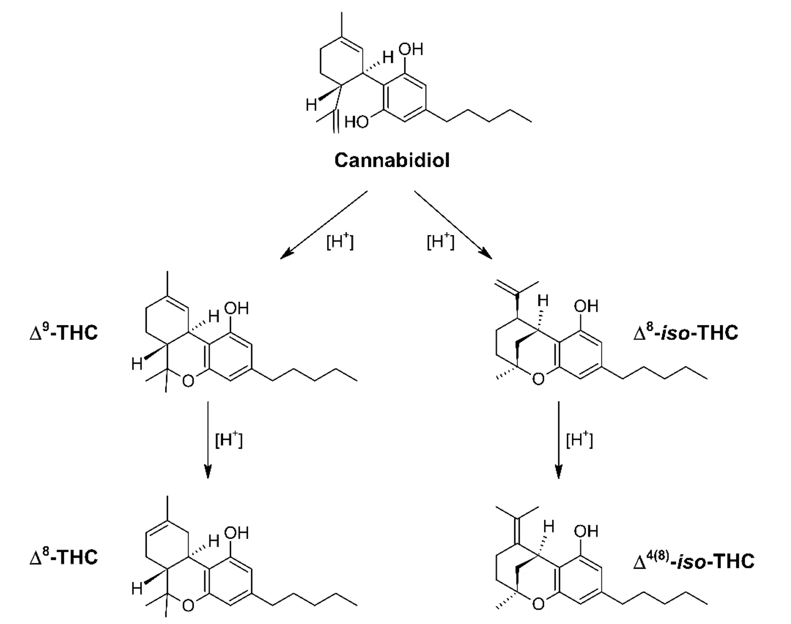 Δ8-THCに関するCBD・カンナビノイド関連事業者向け解説ガイド｜KCAラボ