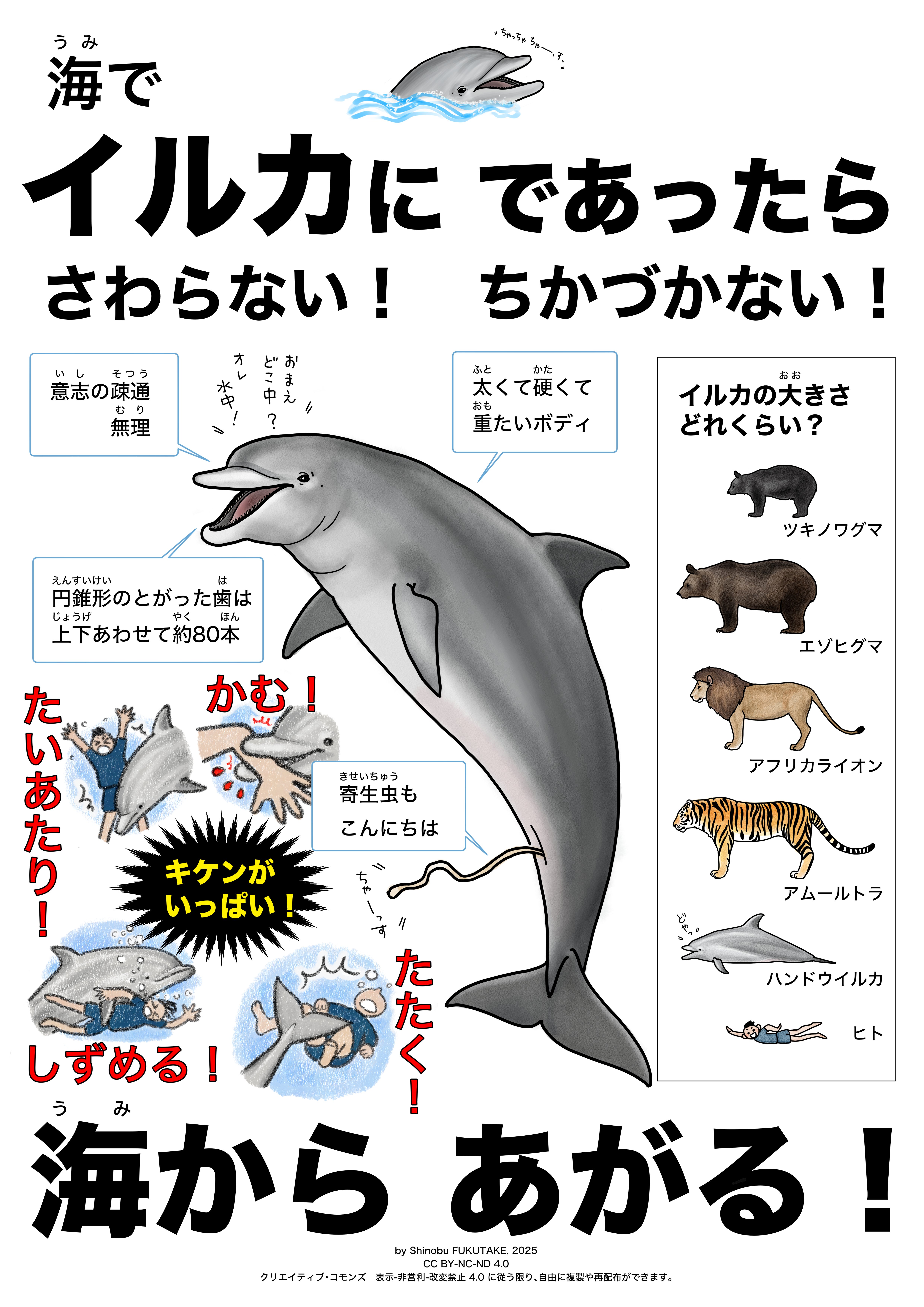 3411 外国切手 アメリカ 1990年 海の生物 イルカ 鯨 等 田型 3411 外国切手 アメリカ 1990年 海の生物 イルカ 鯨 等 田型 8x
