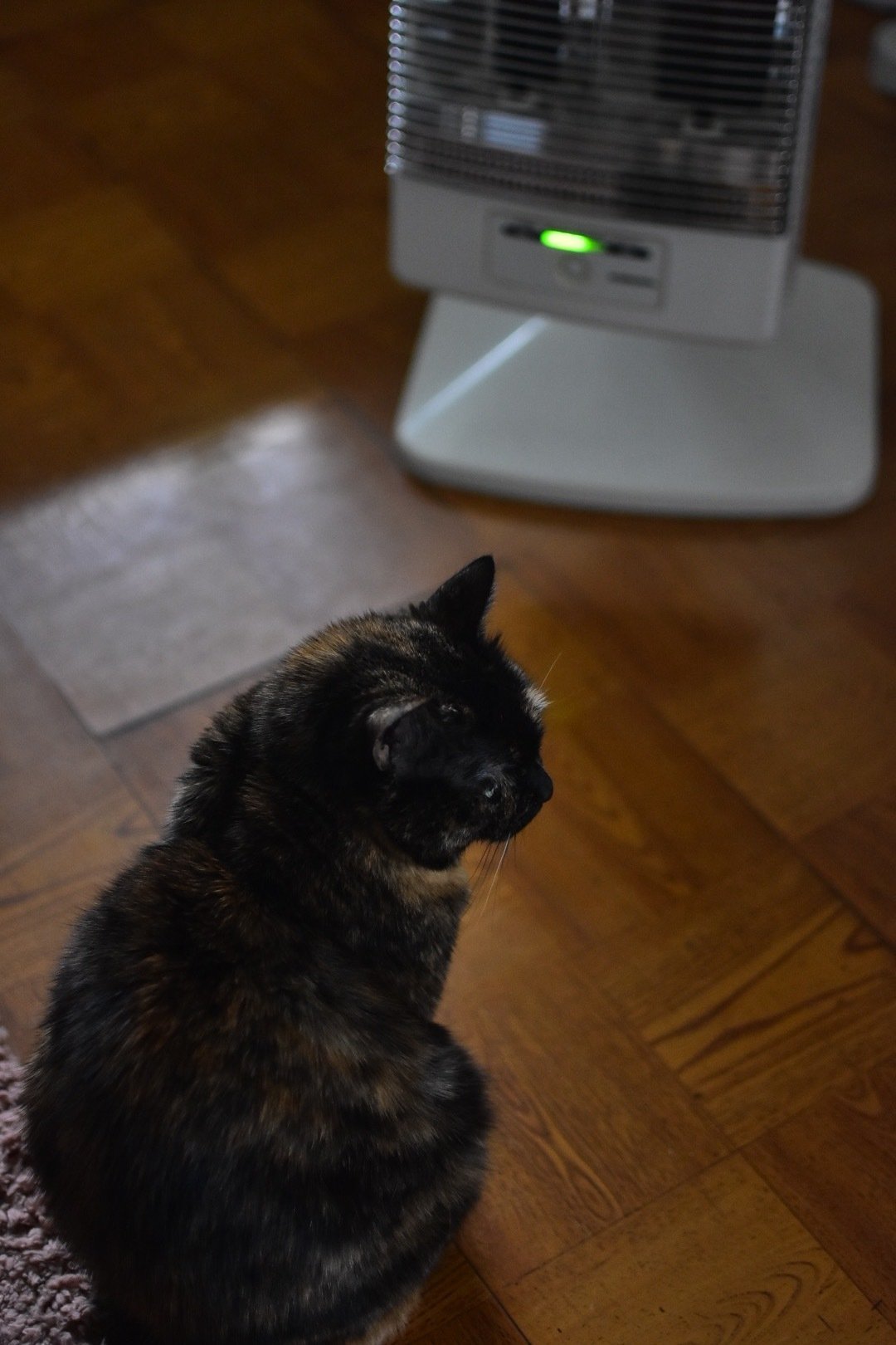 作品作りで想うこと｜shinchu_rama