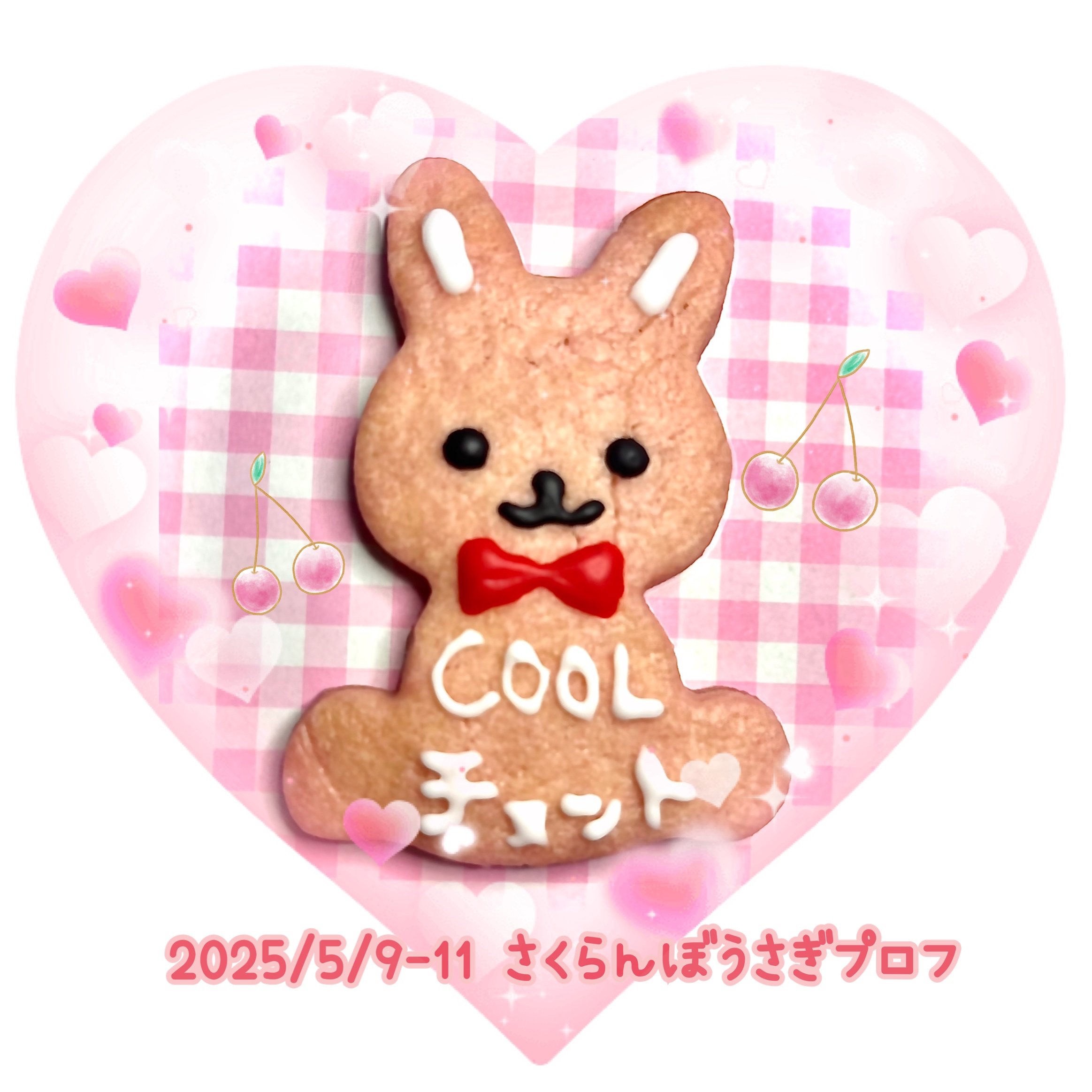 さくらんぼうさぎ🐰🍒お菓子アイコン｜まめ🐾💛ᵕ̈