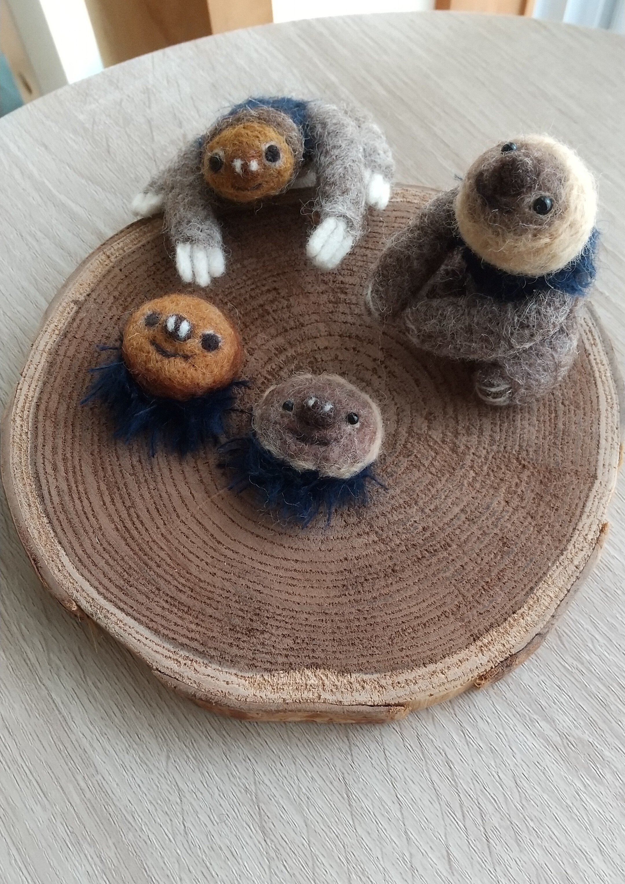 奈良ナマ2025 作家さん紹介🦥🤤｜ナマケモノ研究所 所長