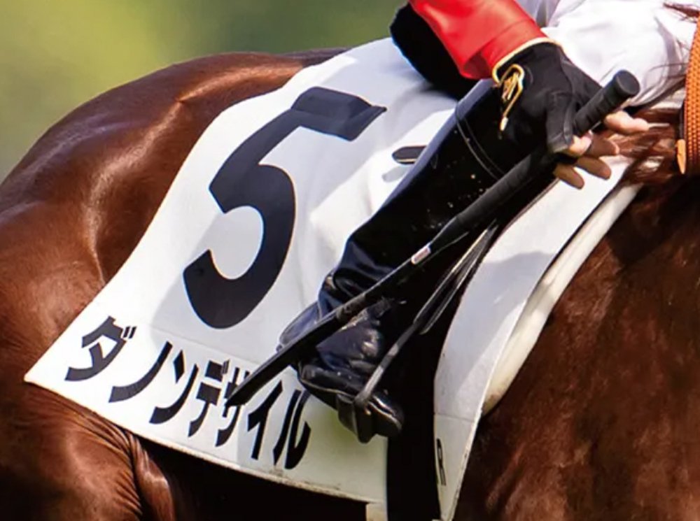 【レア】日本ダービー ポスターフレーム 5.30 東京競馬場 2025日本ダービー ポスター｜日本サイン競馬会