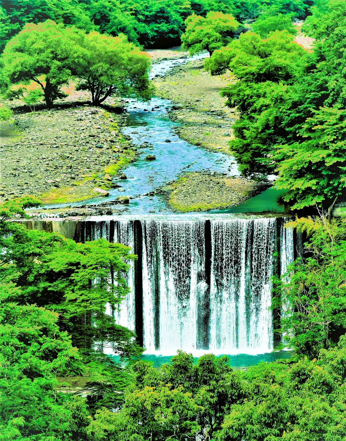 画像