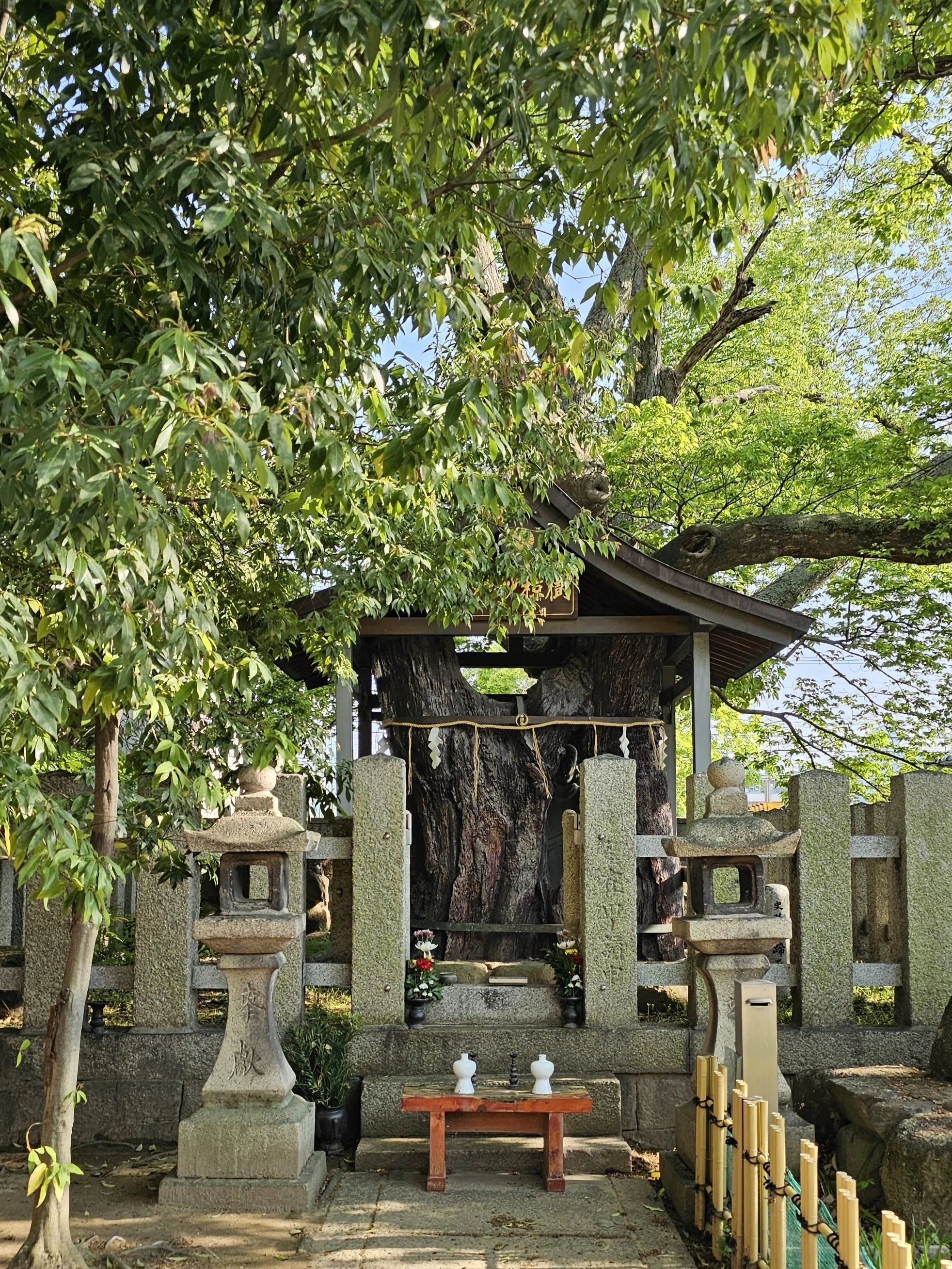 社寺散歩｜大聖将軍寺｜大阪・八尾市｜聖徳太子が九死に一生を得た