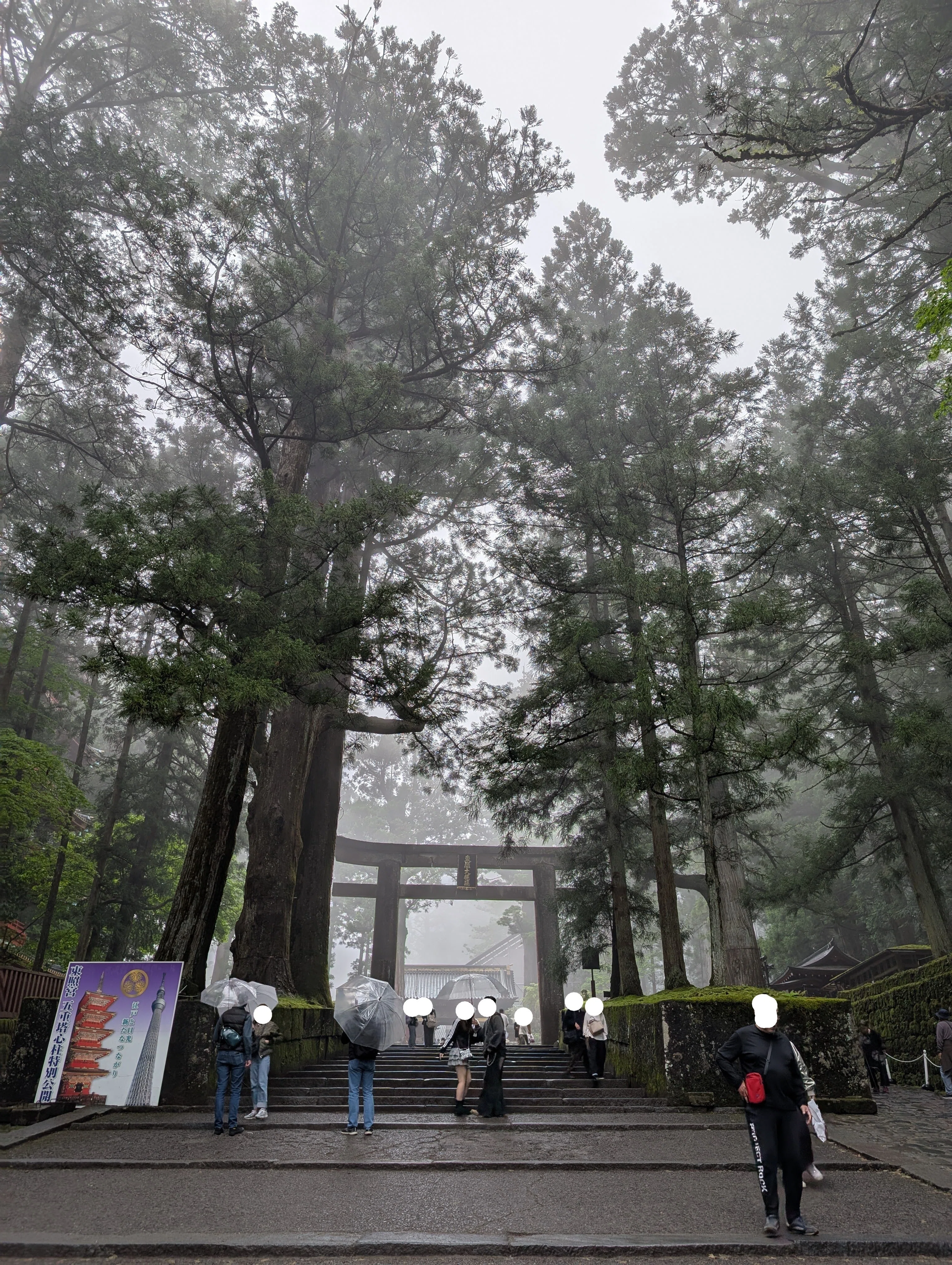 旅育】子どもと行く世界文化遺産：日光東照宮ー栃木県ー｜くんぱす先生