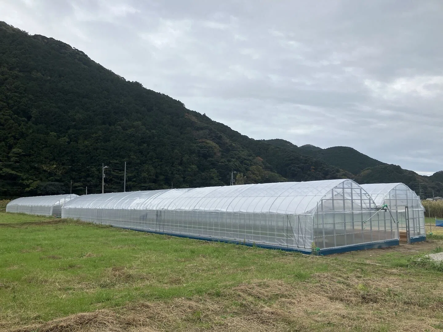 アグリ推進部🧑‍🌾】ネクシーズZEROを使って農業設備を導入いただいた
