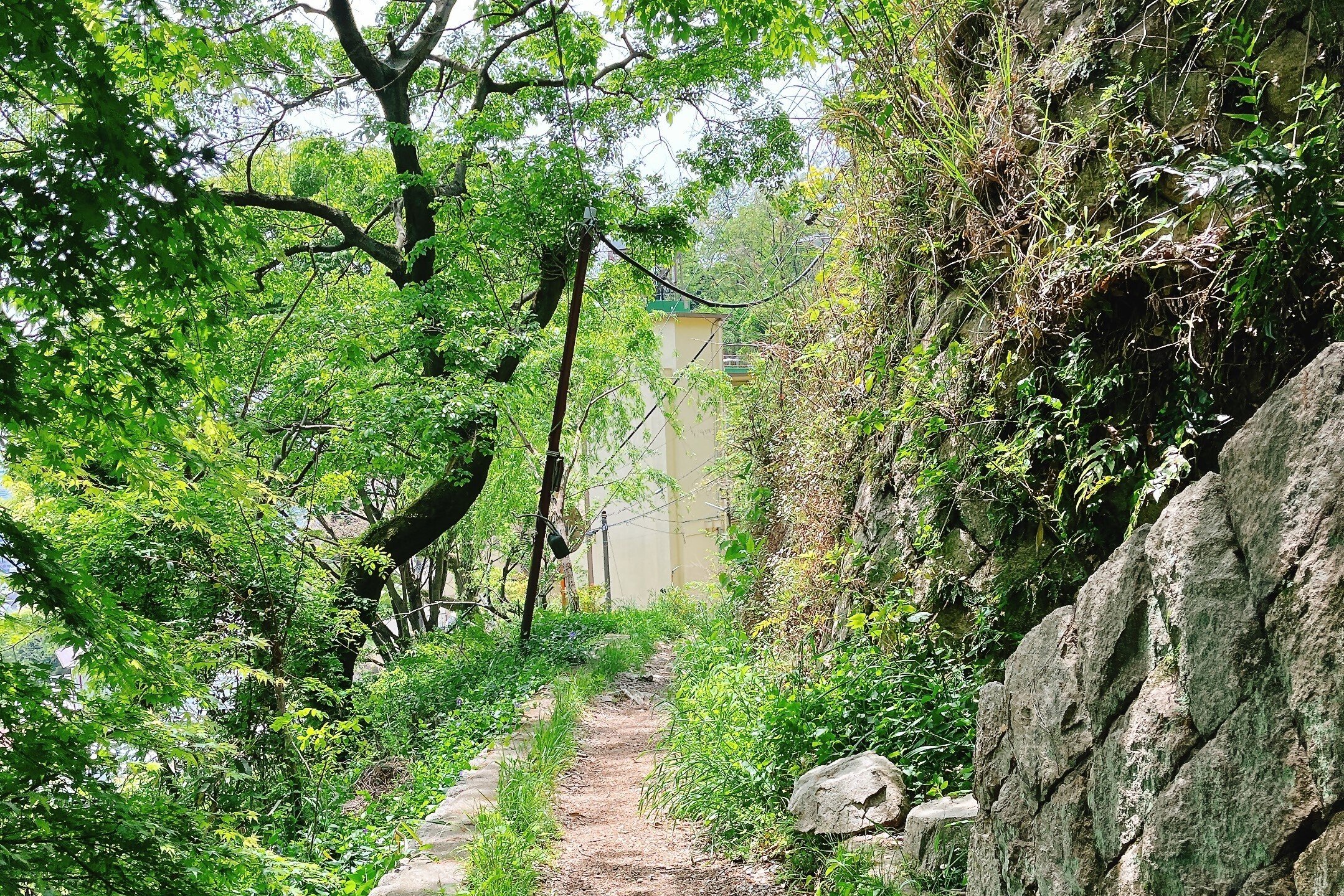 150本の丸太で歩きやすく！東灘の保久良神社から金鳥山への登山体験