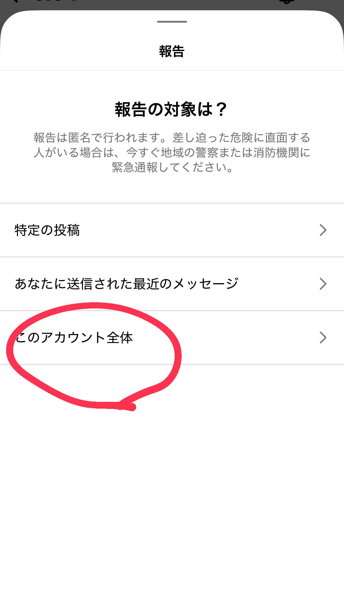 ig帳戶和密碼