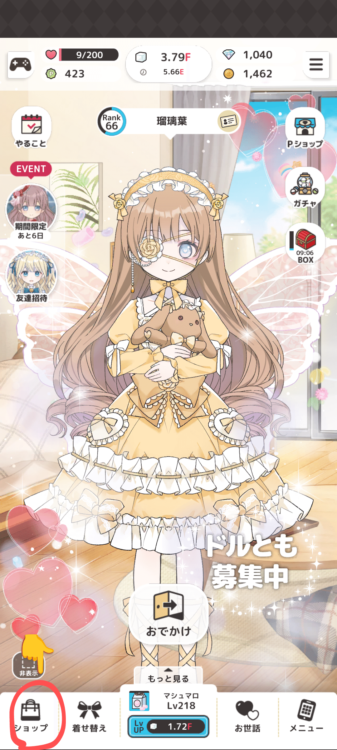 シュガードールを始めよう｜瑠璃葉