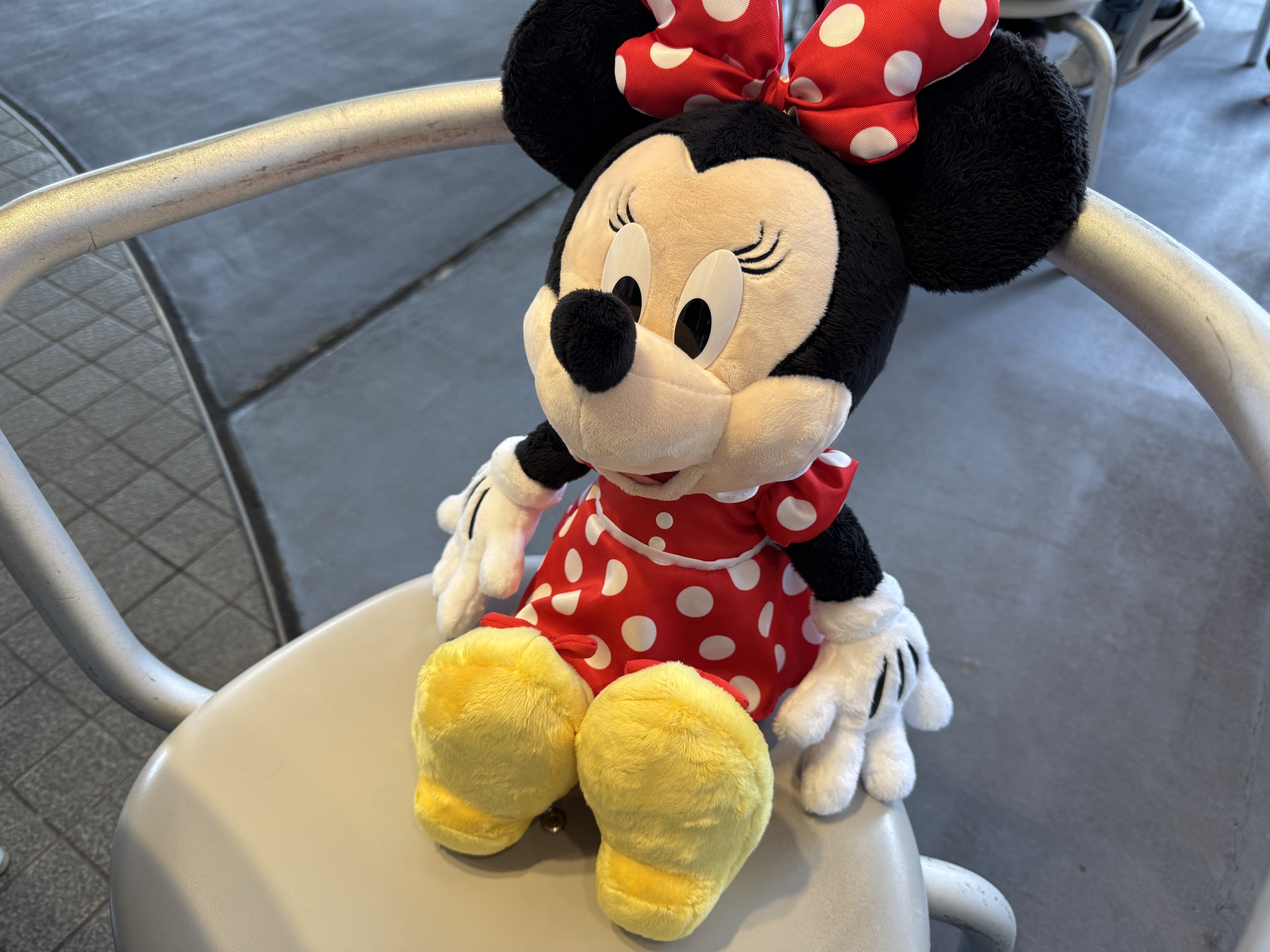 31歳男性、21年ぶりのディズニーランドでミニーマウスの大ファンになり