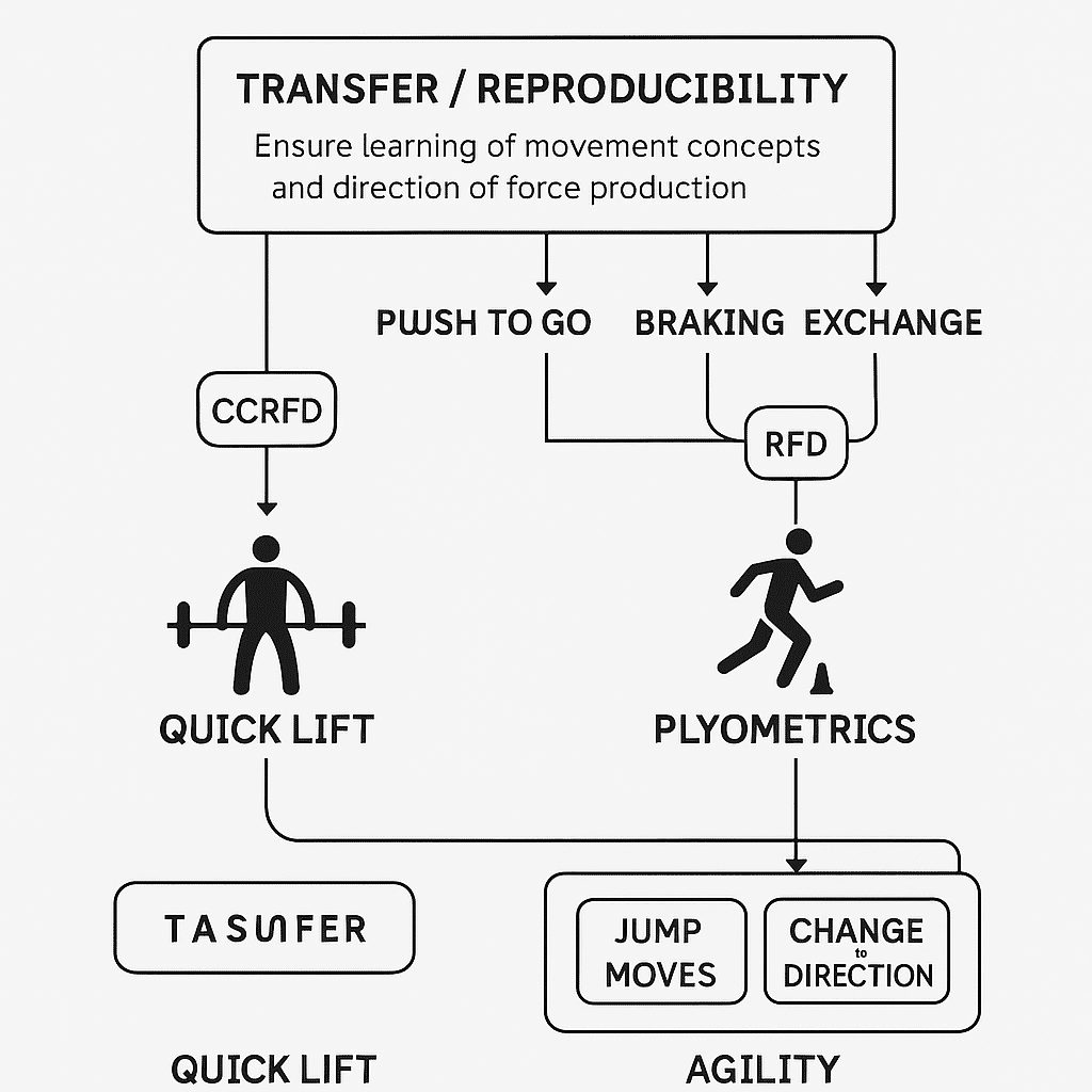 プライオメトリックの再考｜館山穣