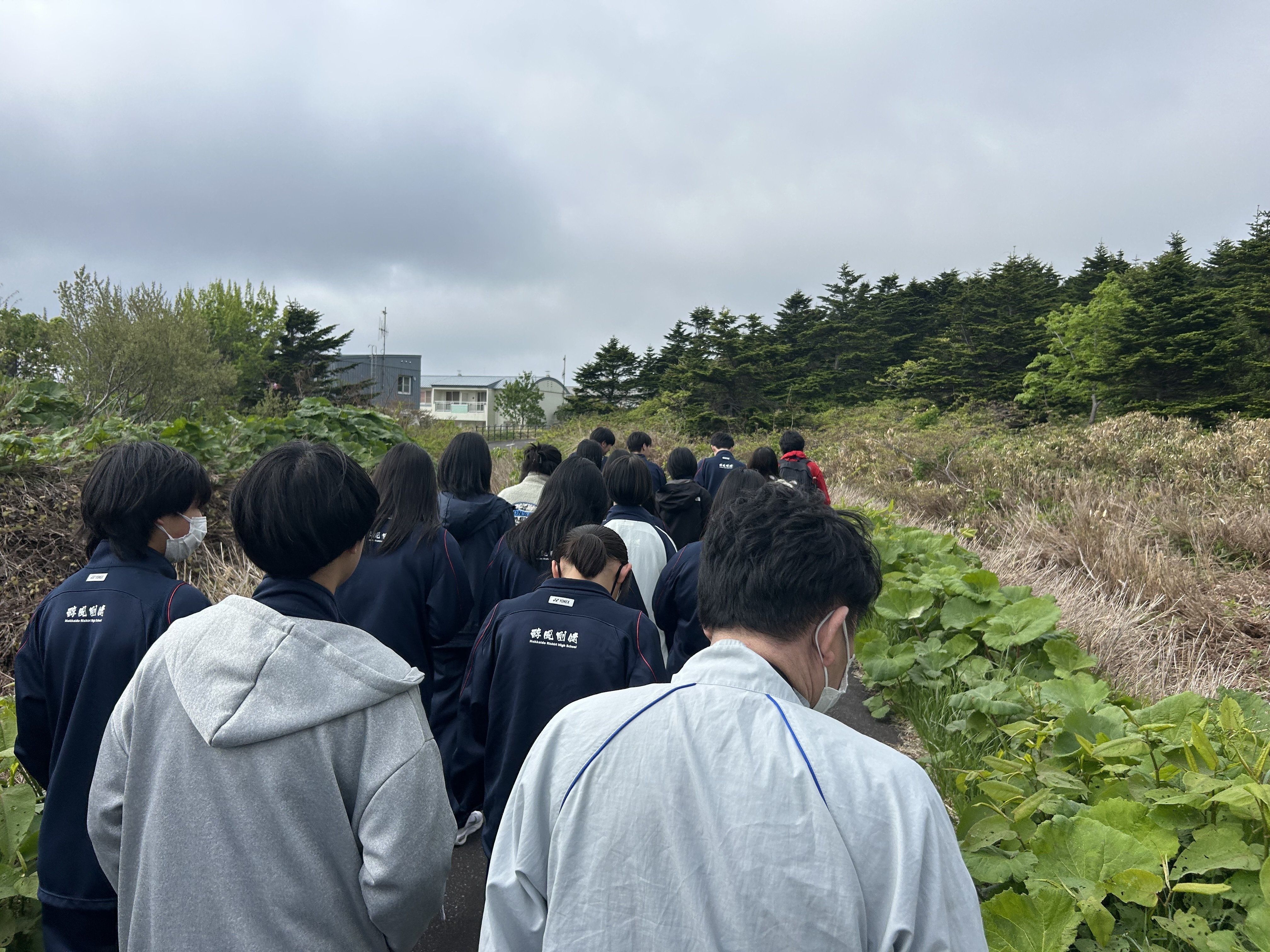 利尻の植物を学ぶ｜北海道利尻高等学校公式note