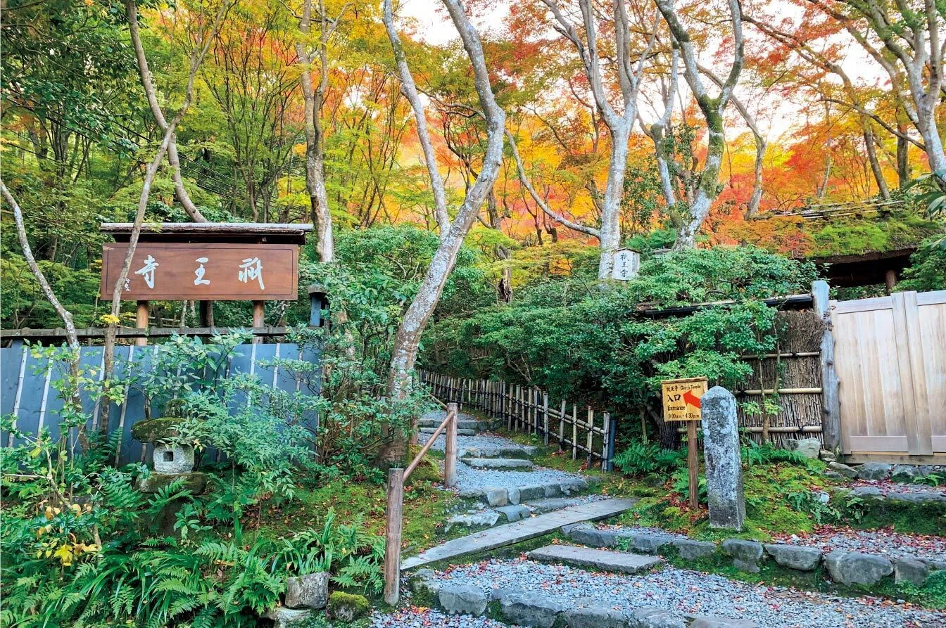 歎異抄の旅(20)変わらぬ幸せはどこに？ 悲恋の尼寺、『平家物語
