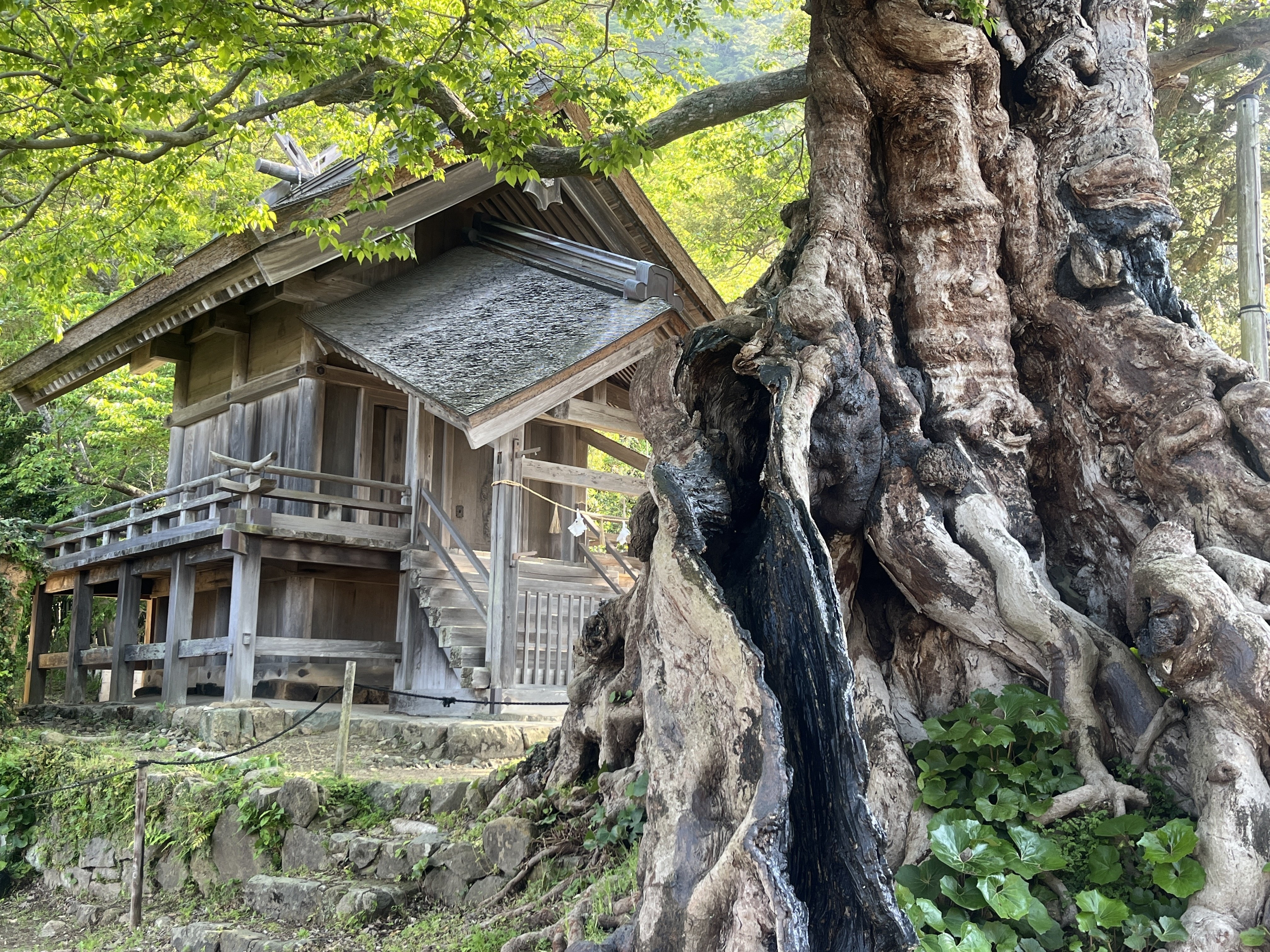 出雲大社の建築考古学 出雲大社の謎 古代に存在した巨大神殿のルーツに迫る – 國學院大學