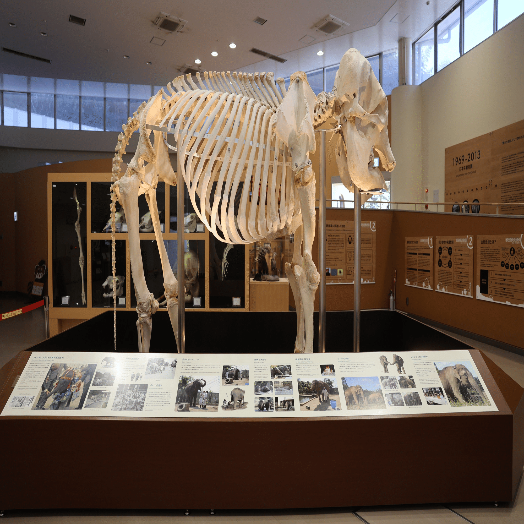 動物園水族館建築物紹介】その30 日本平動物園 ビジターセンター