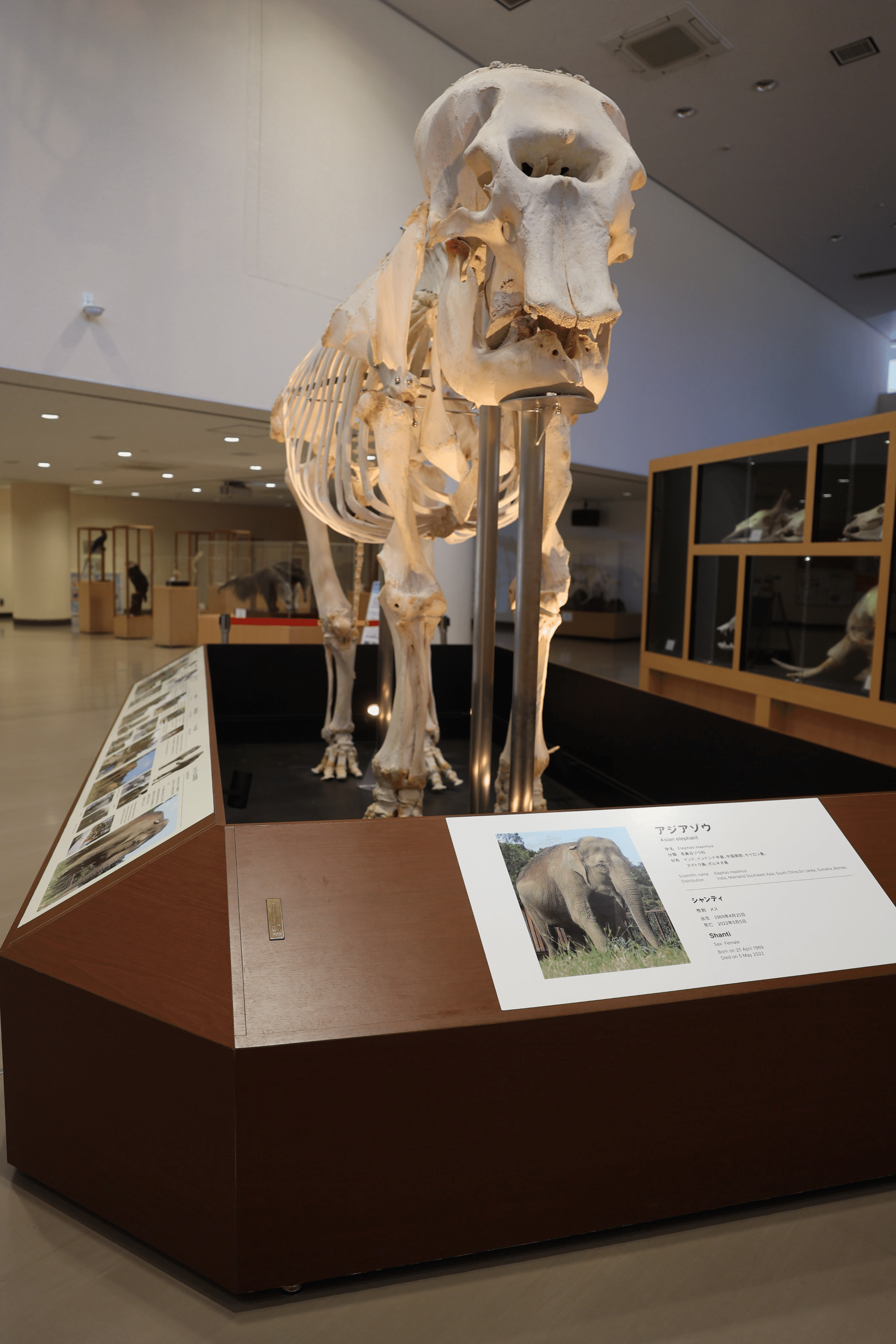 動物園水族館建築物紹介】その30 日本平動物園 ビジターセンター