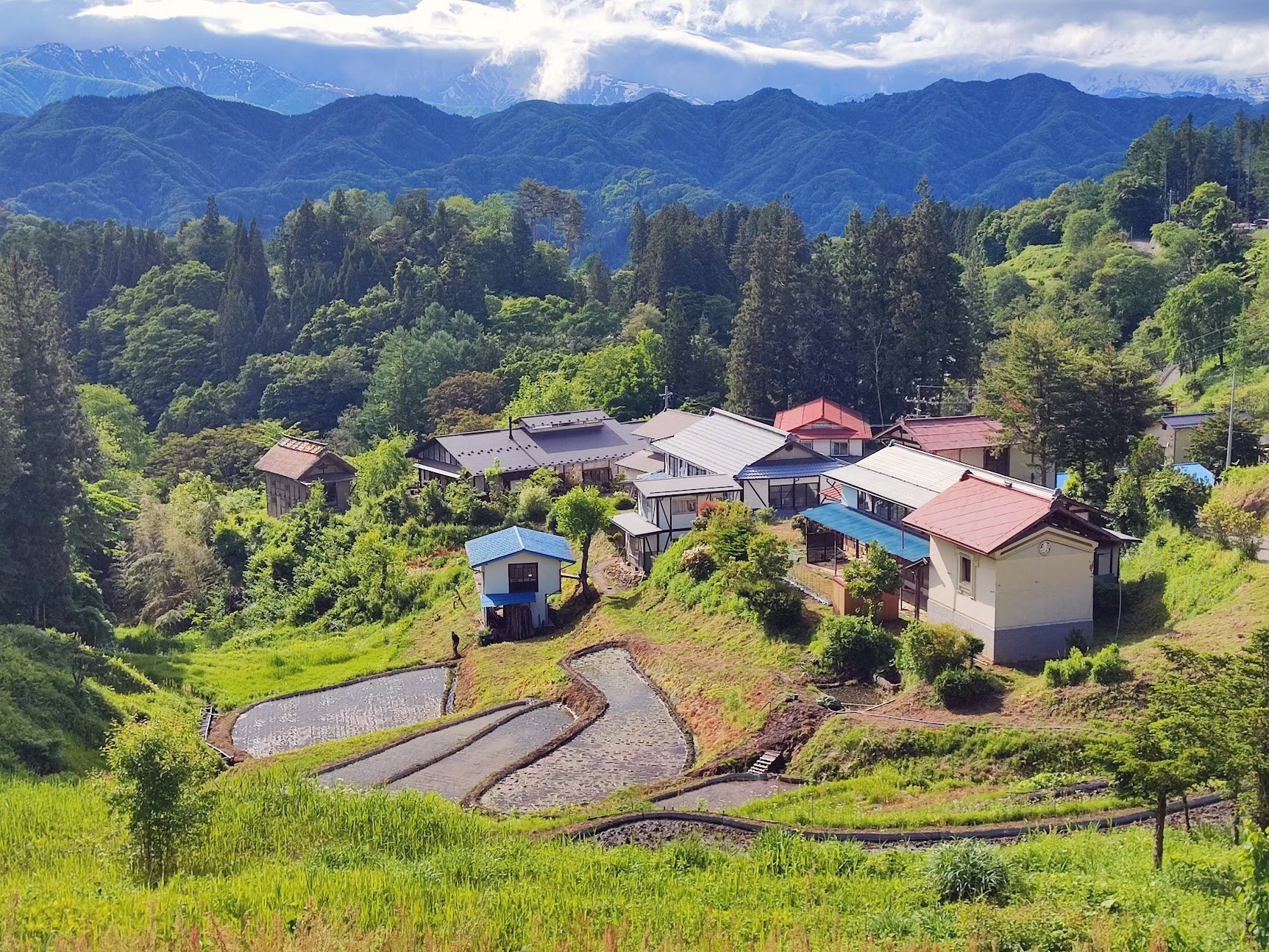 棚田とともに生きる ― はじめての田植え体験記｜吉村和敏