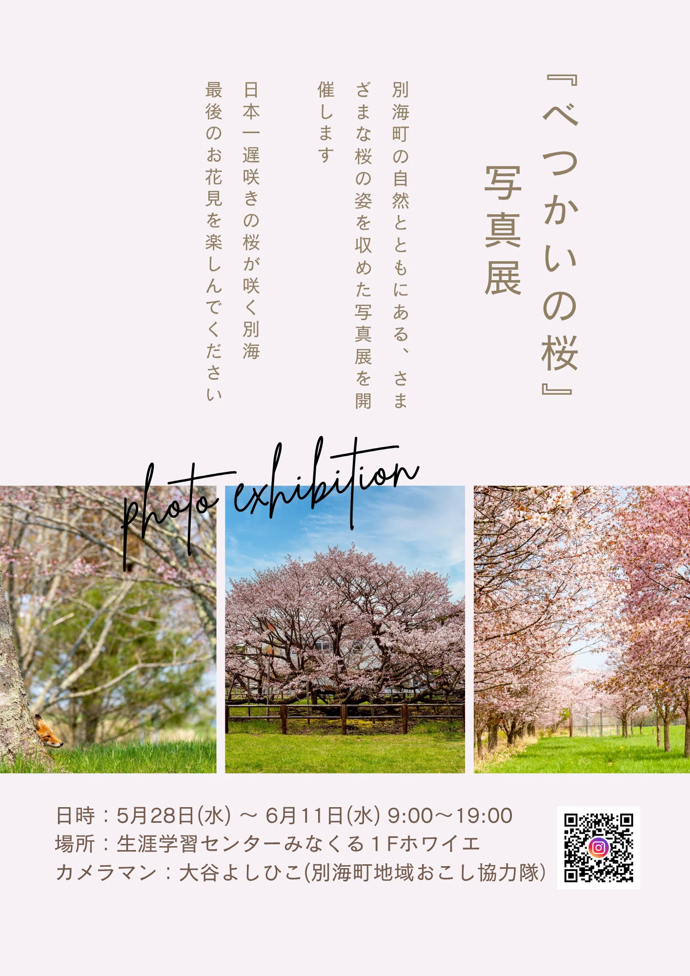 桜　プロフ必読ページ さくら(プロフ必読)様専用ページの通販はau PAY マーケット - 輸入雑貨