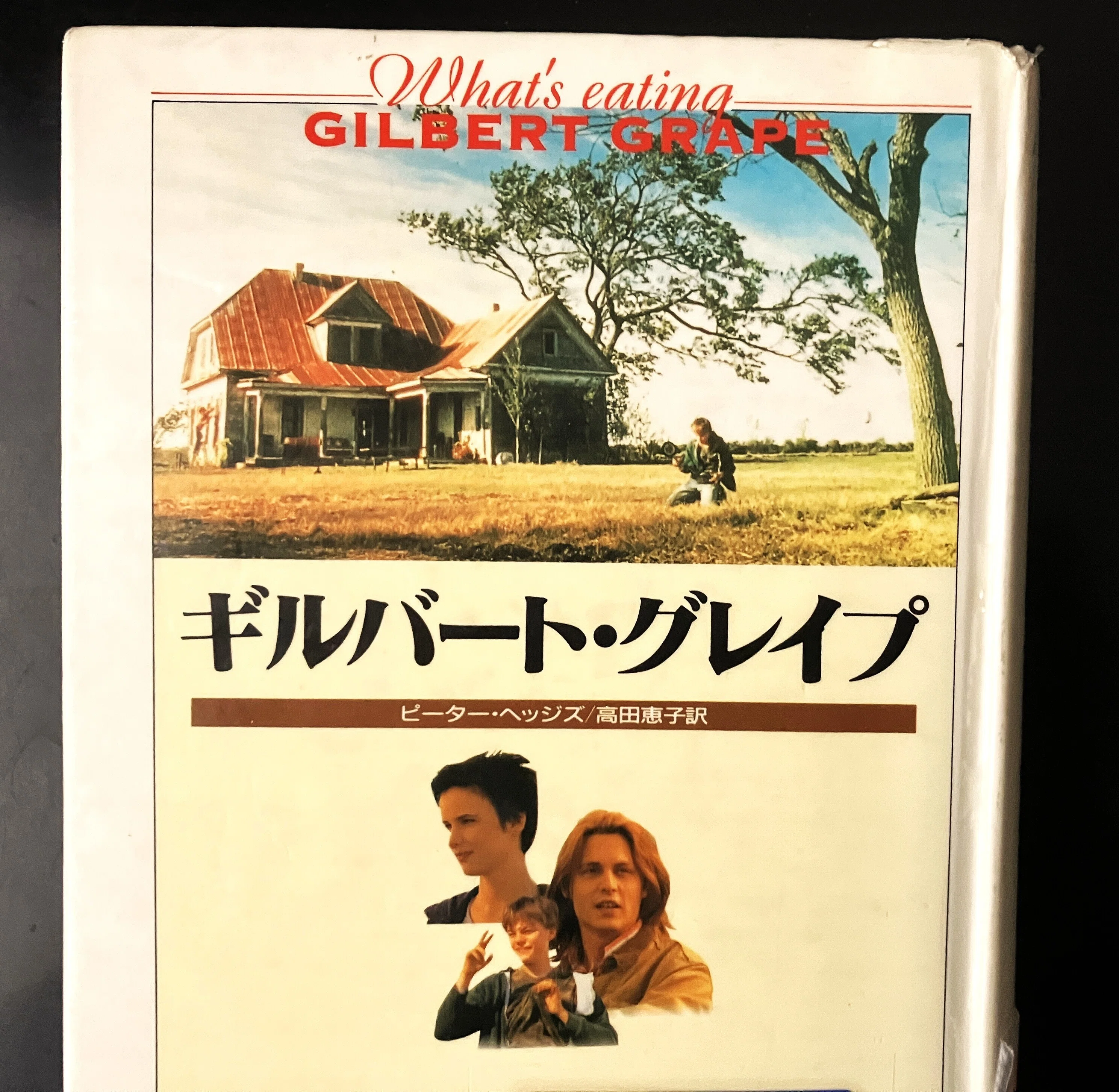 ギルバート・グレイプ B2ポスター 日本版 ジョニーデップ レオ ギルバート・グレイプ B2ポスター 日本版 ジョニーデップ レオ 【公式