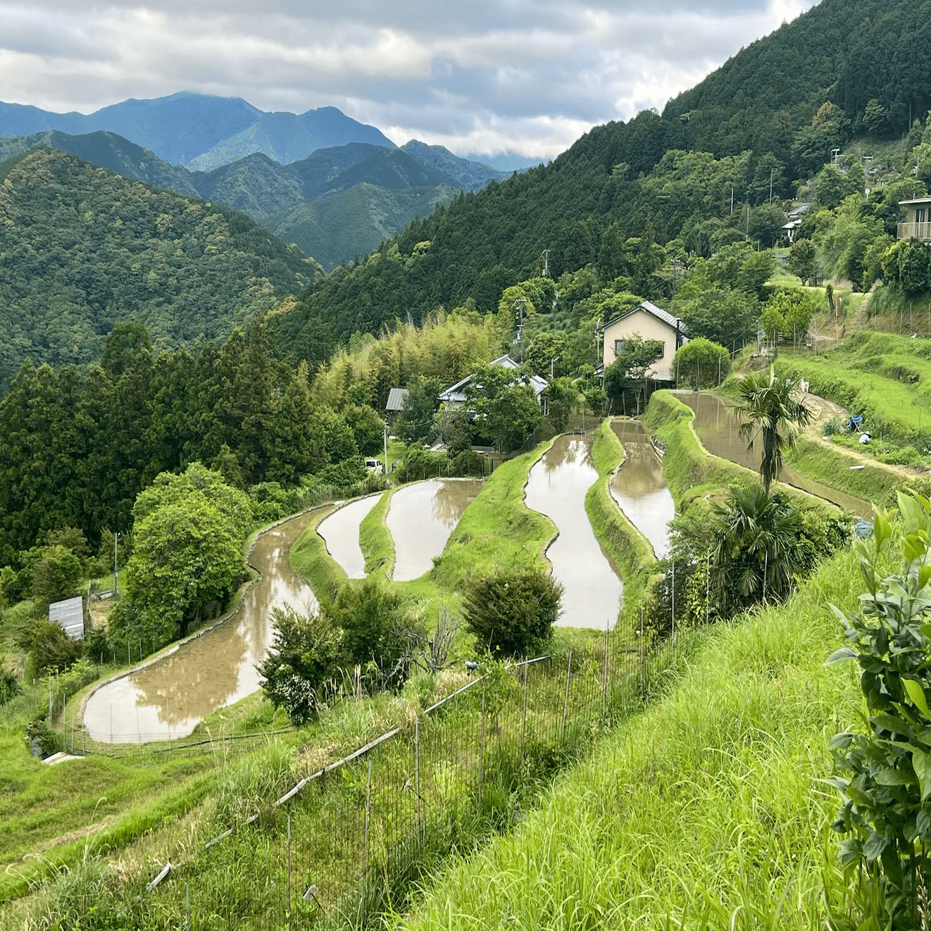 聖地を歩きながら、仕事が完成していく不思議 〜AIエージェントと歩く