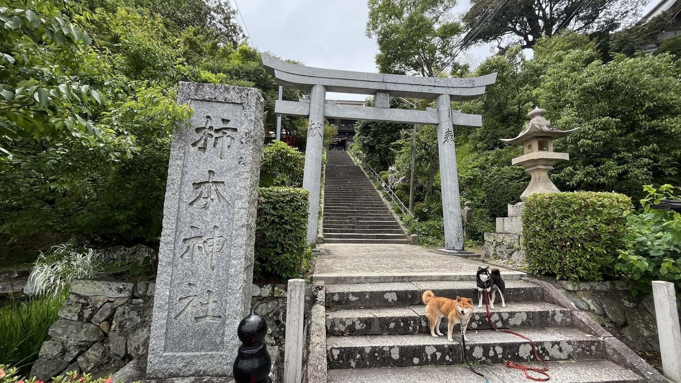 浜田統之　本 名所に挟まれぶっ飛ばされる市ー島根・益田を愛犬と散策@『高津柿本