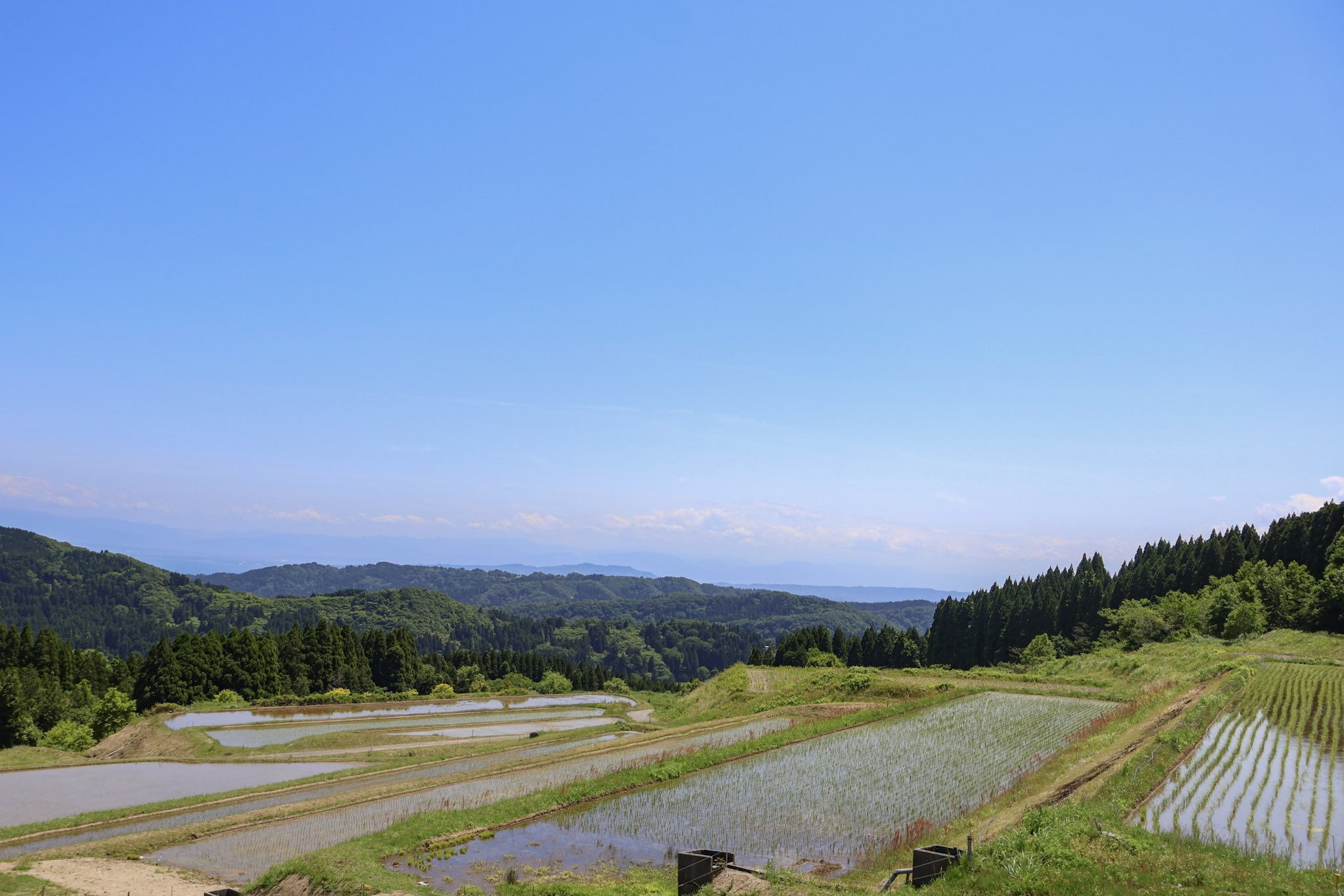 なかやまさん自慢の場所】日本の棚田百選に輝く氷見市長坂の棚田
