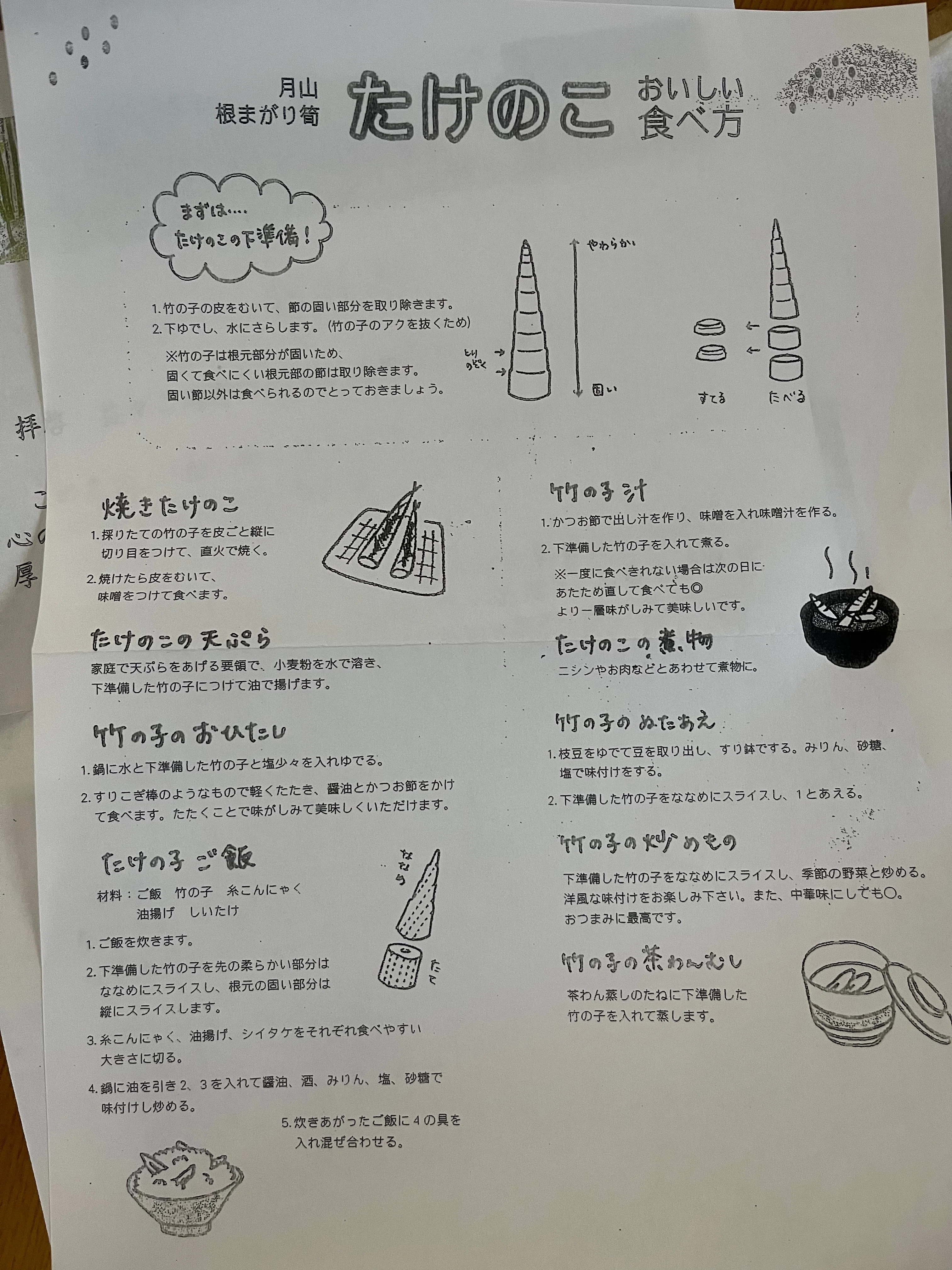 天然根曲がり竹皮剥きあく抜き茹でた おうちで漬物（？）】#50 根曲がり竹の下処理法の比較、おかずにも