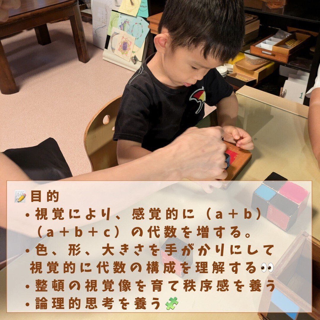 【まめっちょ】二項式、三項式 ☆モンテッソーリ教育 提示 （三項式） - YouTube