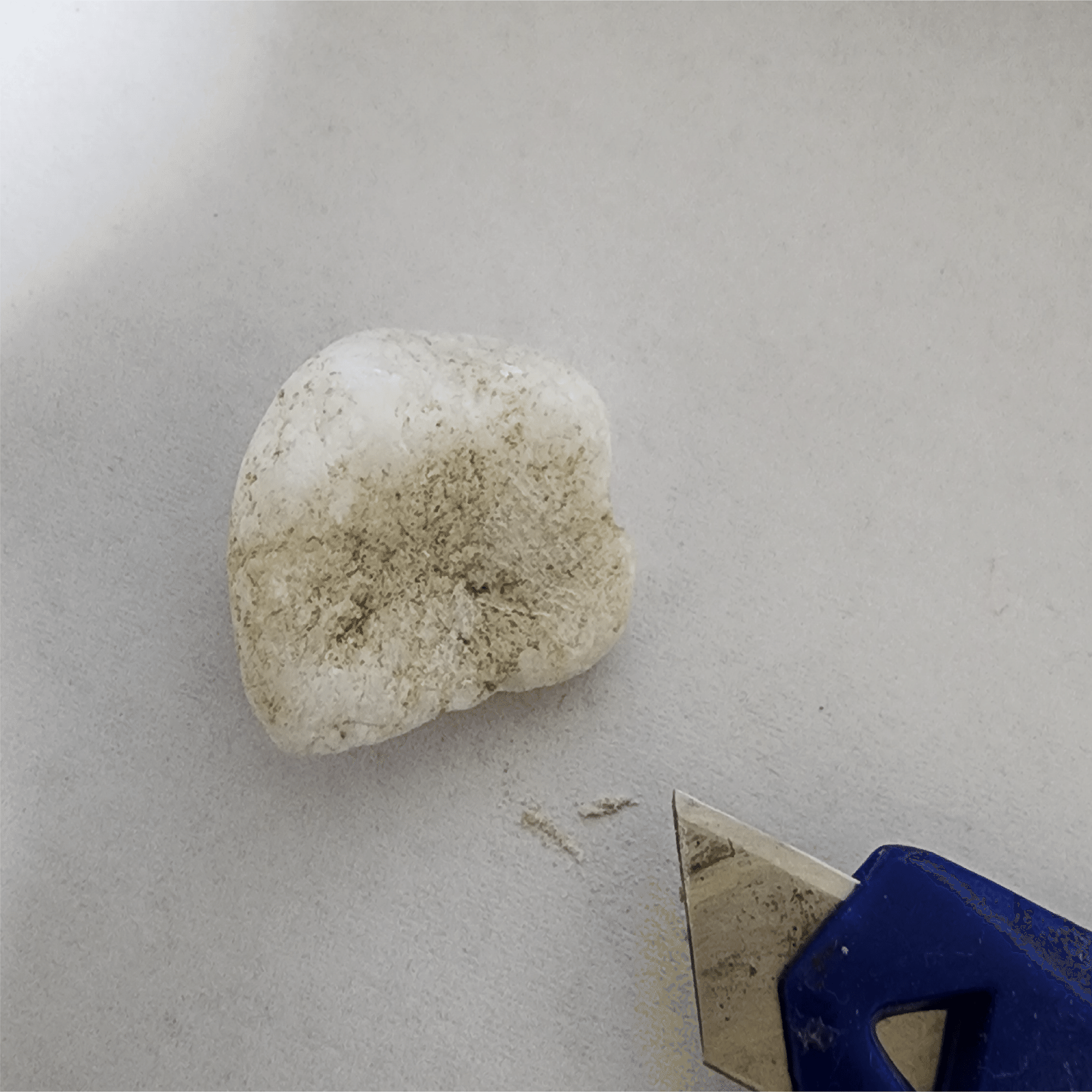 石をみつめて美少女を見出す｜観察録モノのコト 06．小石｜タケうみ