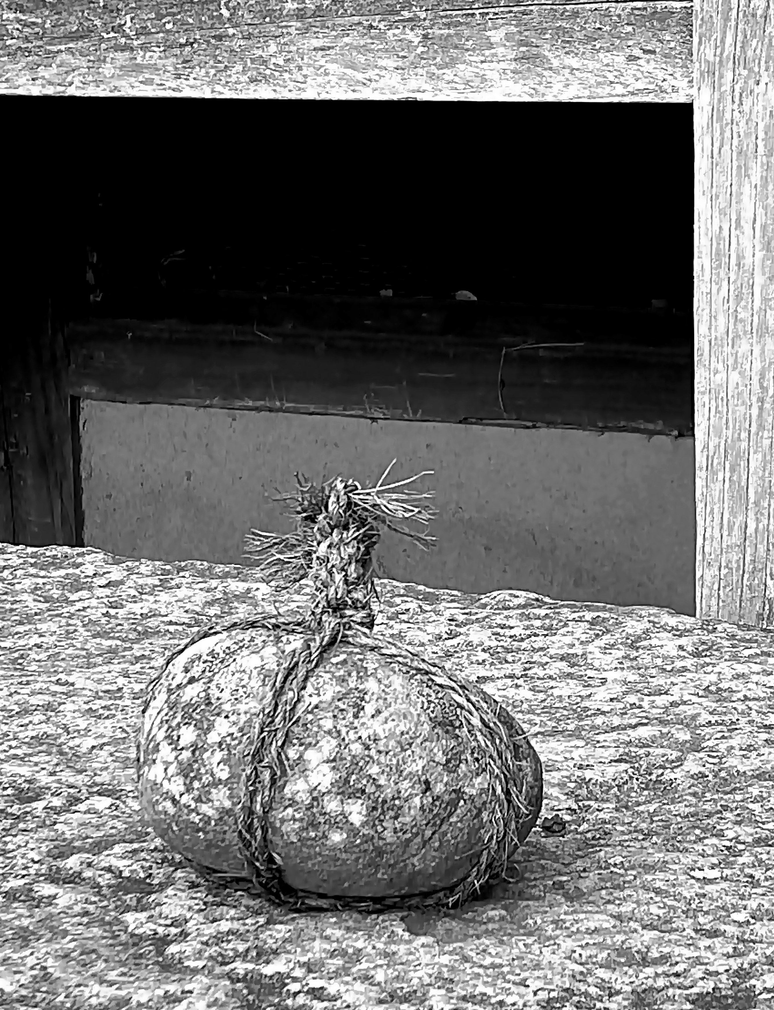 関守石の機能を知って、反省しきりのきょうこの頃というお話【わび