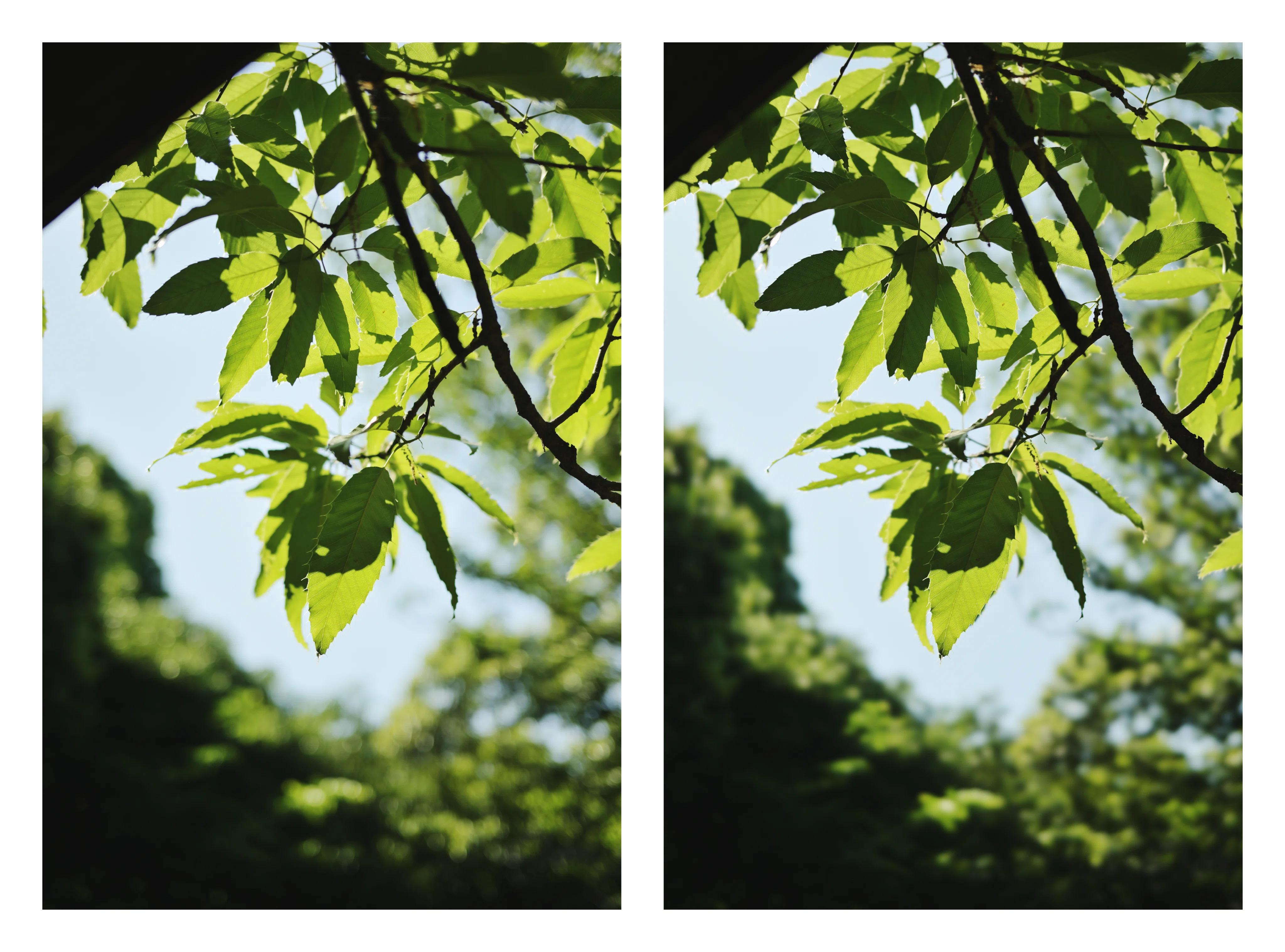 NIKKOR Z 40mm f/2 のBBL改造｜計画計画