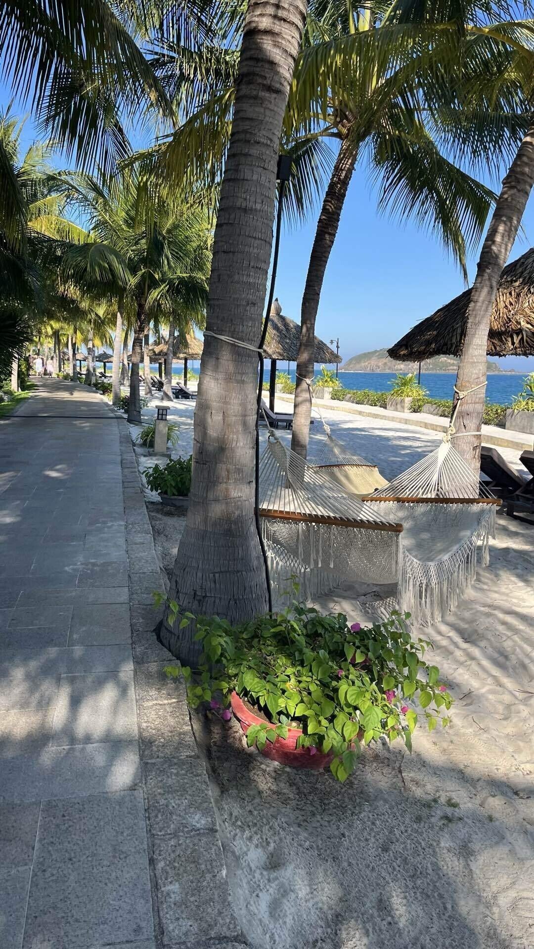 ベトナム旅の記録②ニャチャン｜kanako 料理家