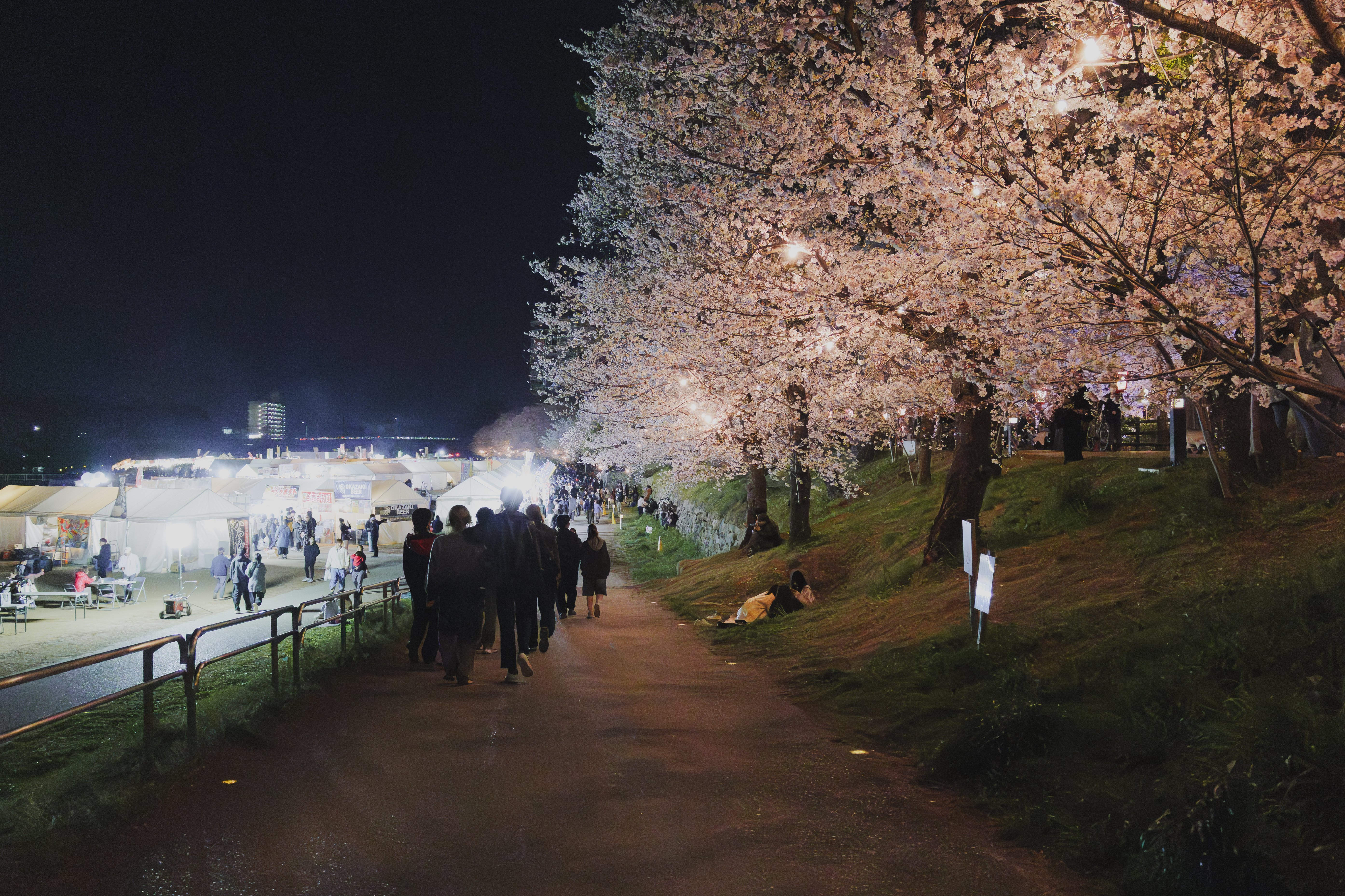 LUMIX S9で夜桜を撮った話｜イノウエノリユキ