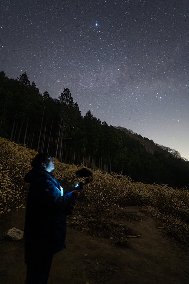 リアルタイム動画・月明かりの海と漆黒の海｜星空写真家・「好き」を