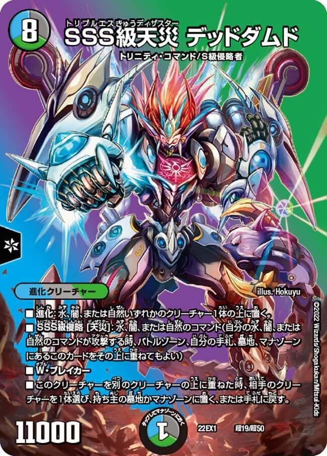 5cザーディについて｜ツバメガエシ