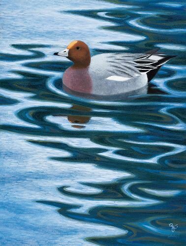 現在開催中の企画展より、杉山寧の作品をご紹介｜姫路の三木美術館