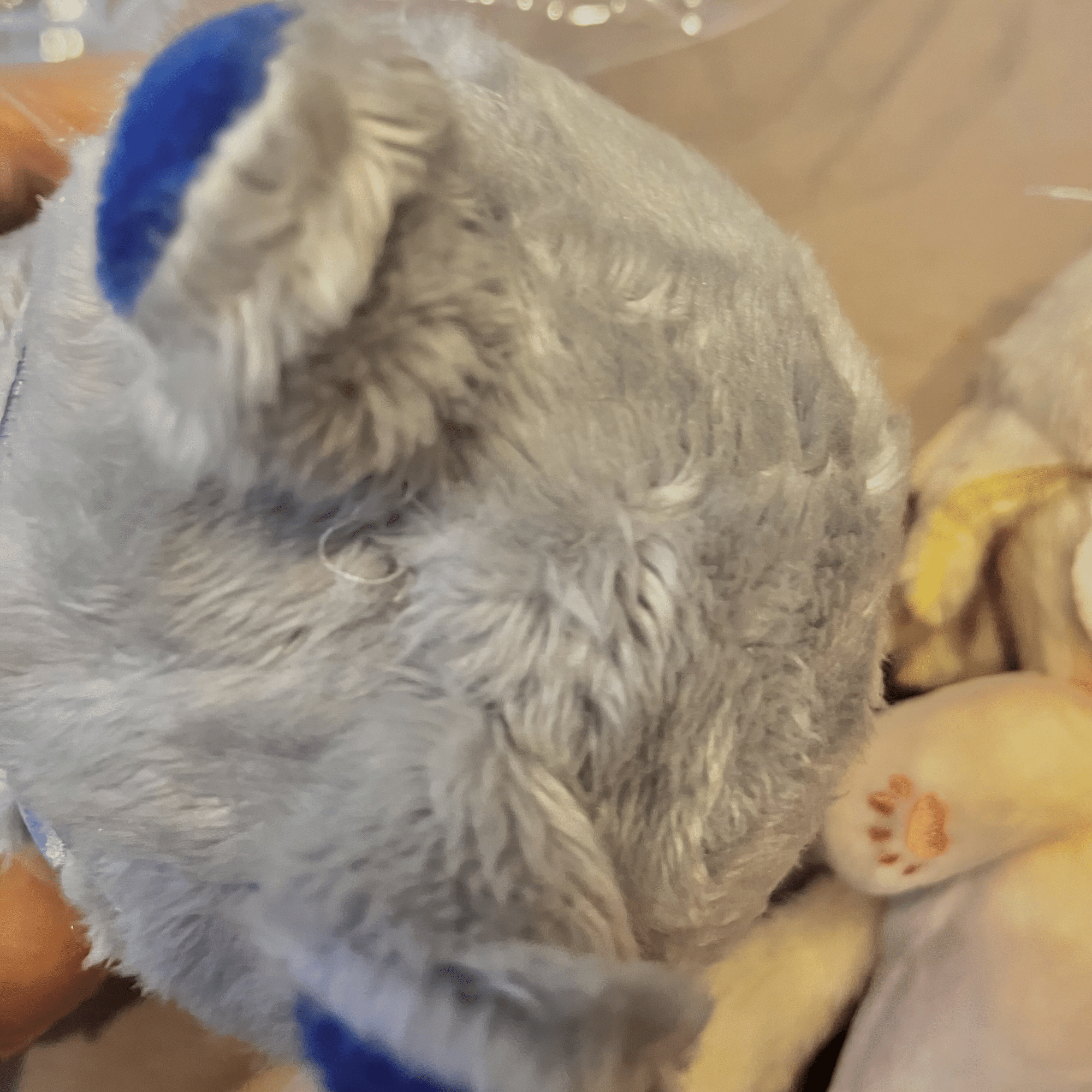 ぬいを海外工場に依頼したレポ｜さこく🐰